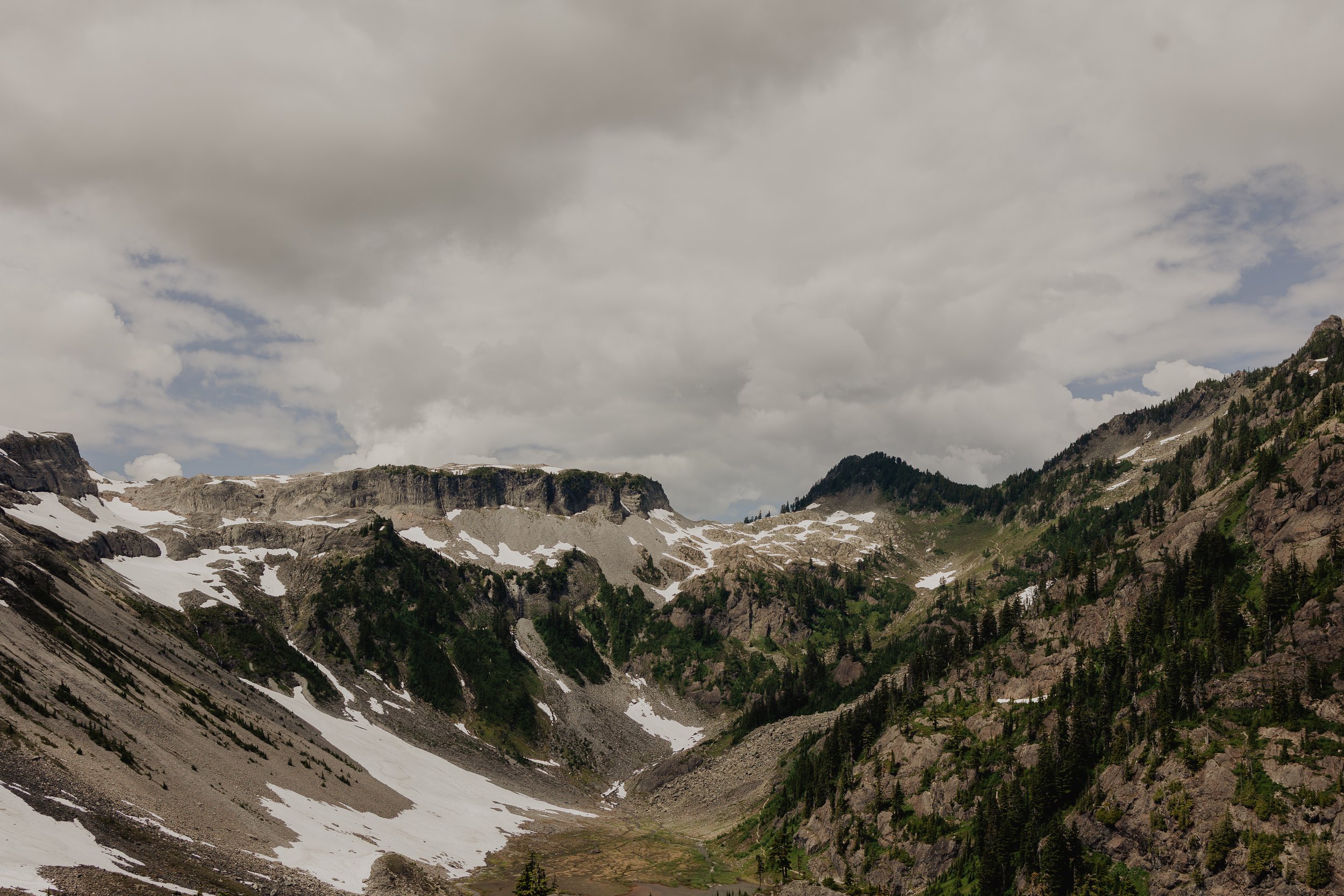 Katie Sutter Photo (1 of 1)-4.jpg