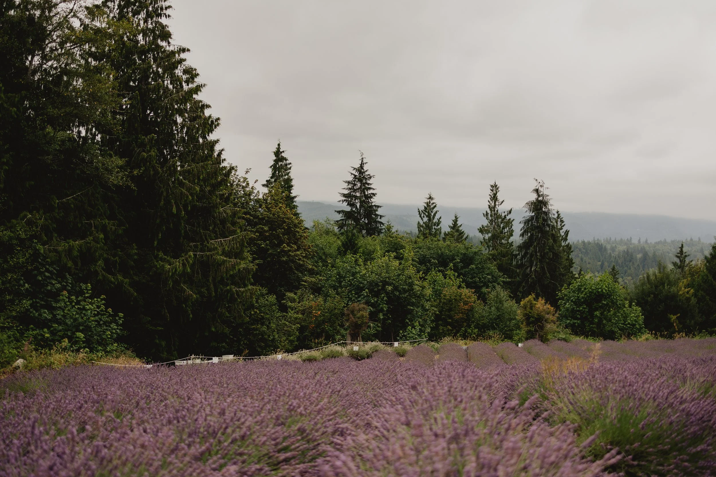 Katie Sutter Photo (192 of 270).jpg