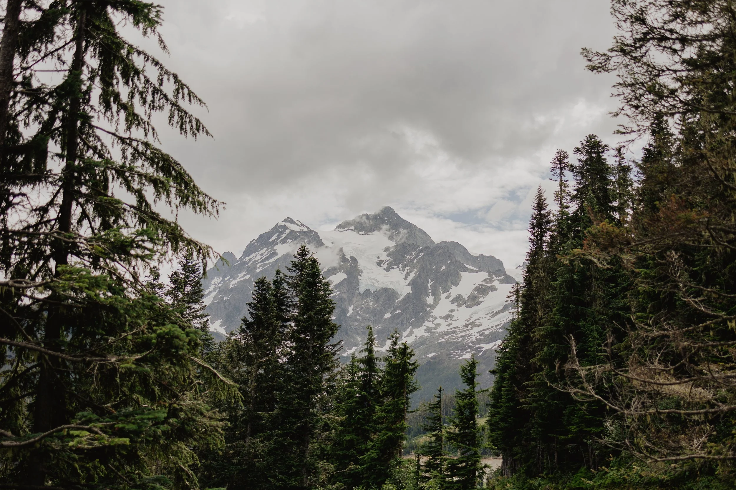 Katie Sutter Photo (94 of 270).jpg