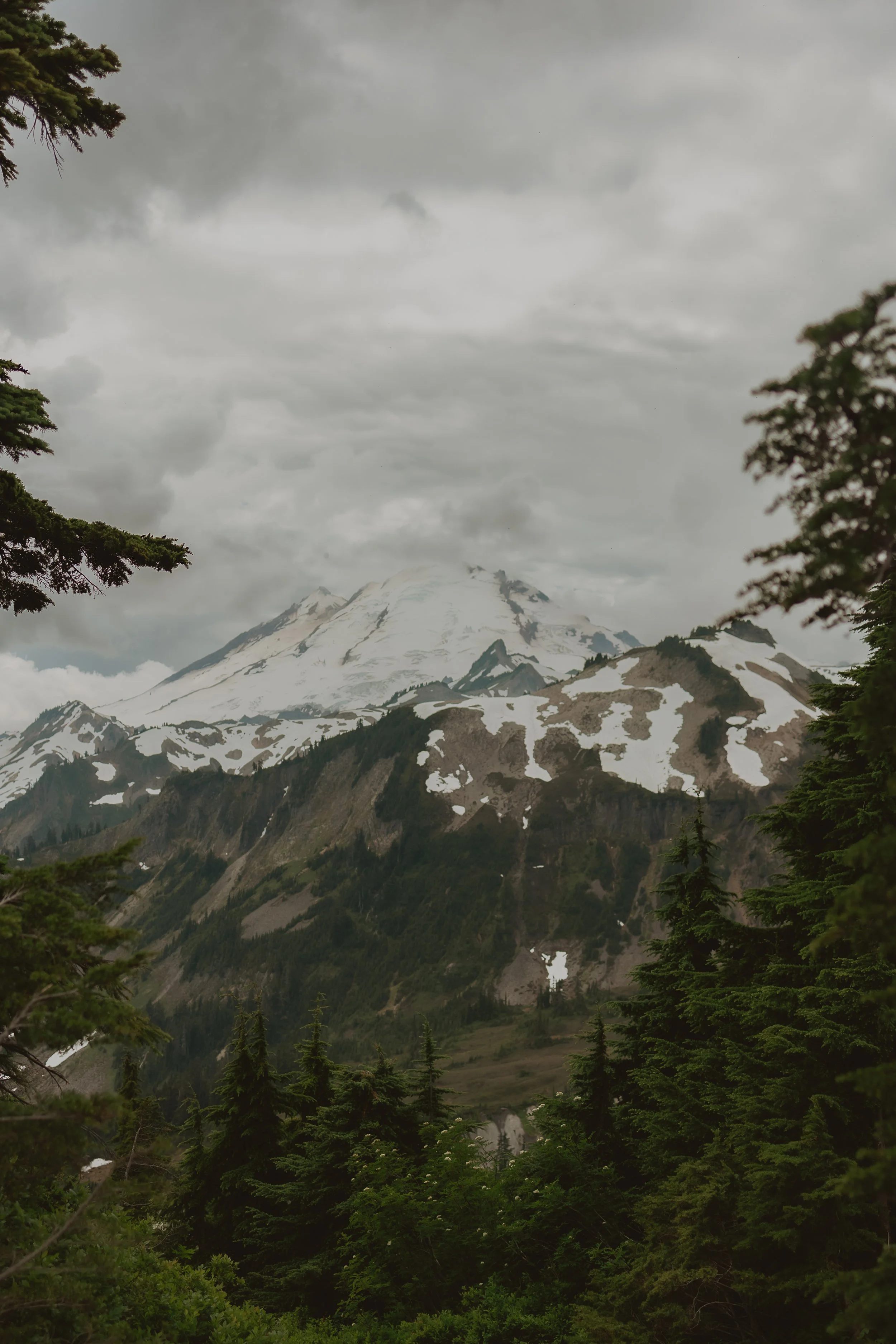 Katie Sutter Photo (1 of 1)-18.jpg