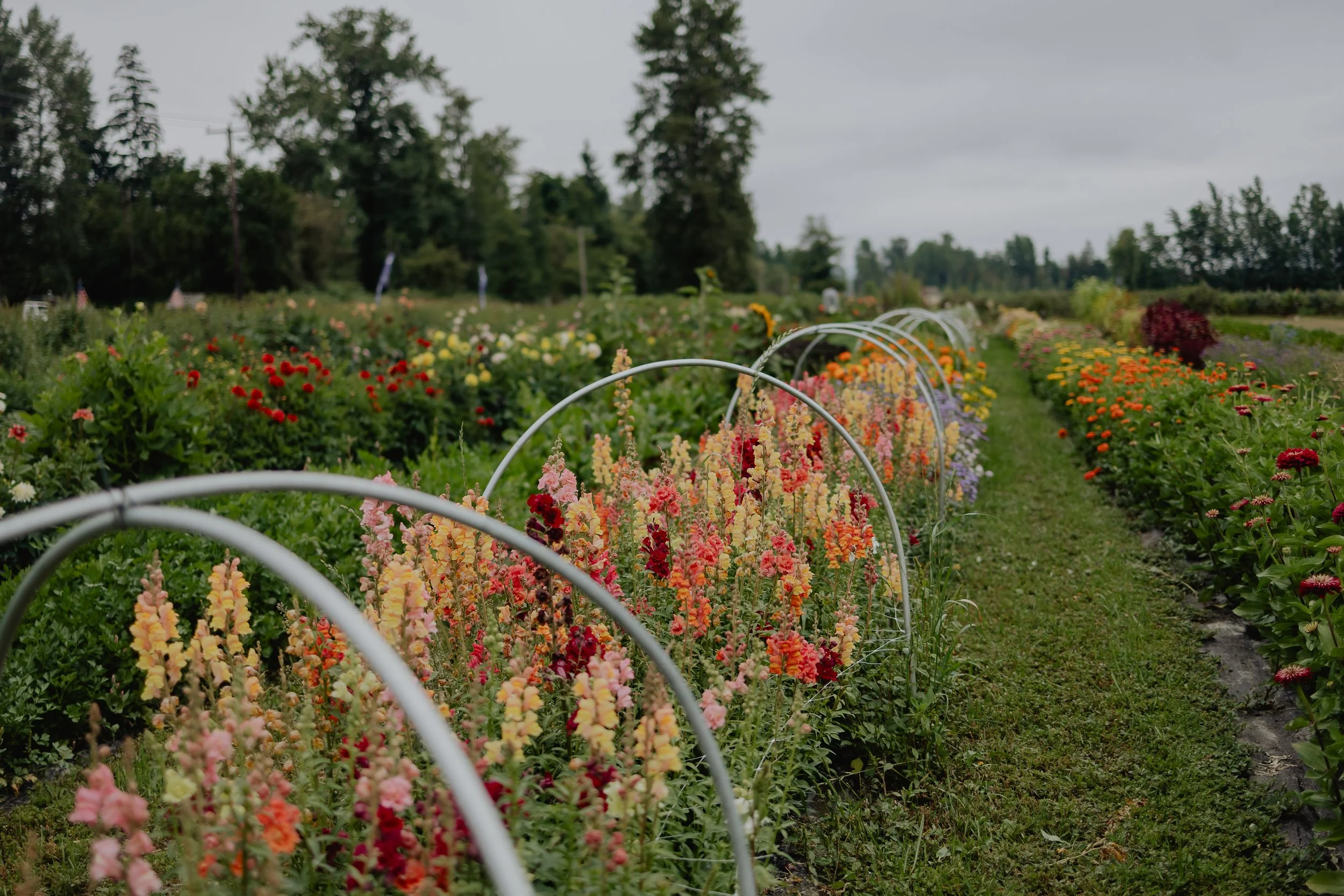 Katie Sutter Photo (129 of 270).jpg