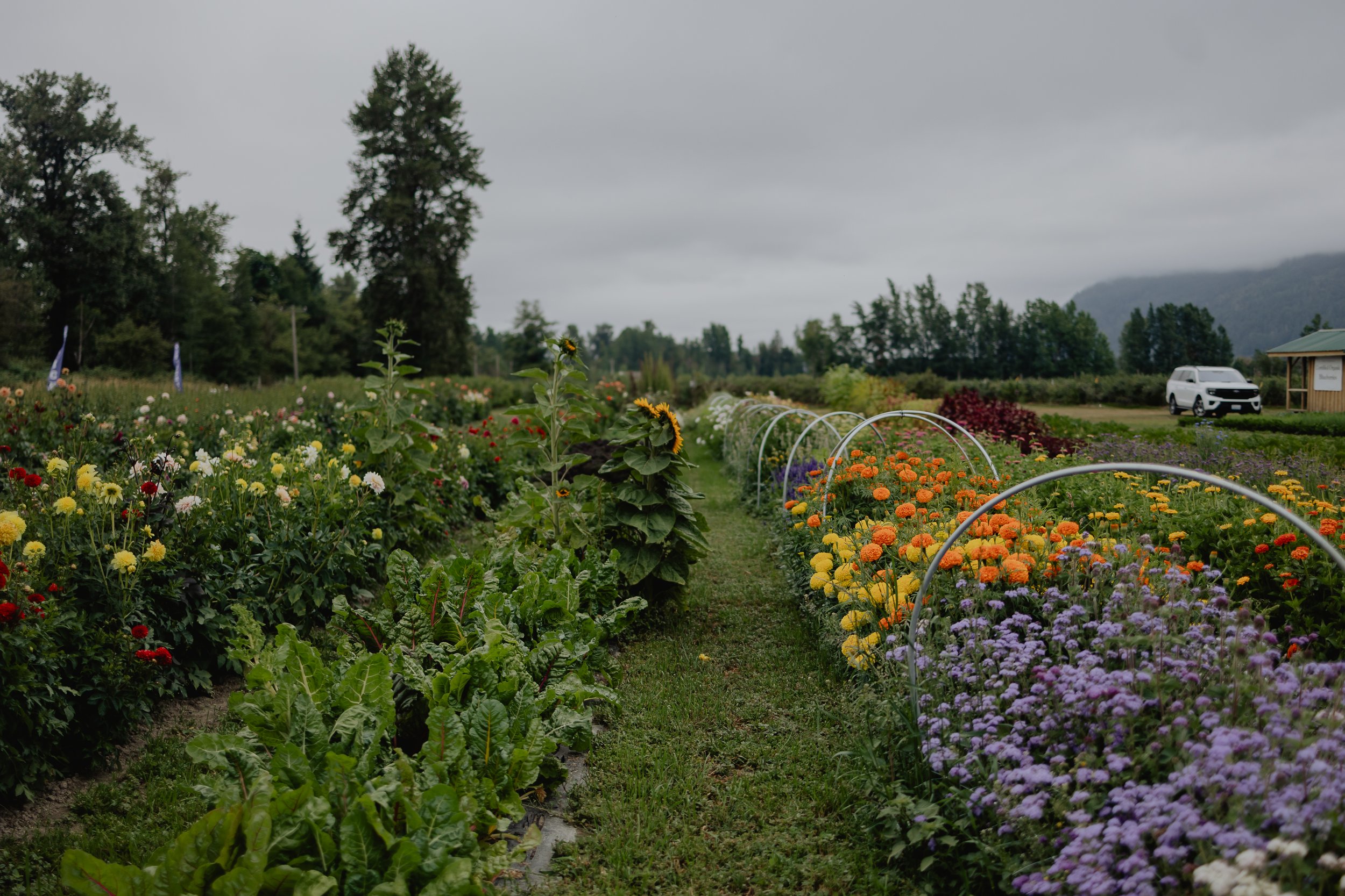 Katie Sutter Photo (130 of 270).jpg