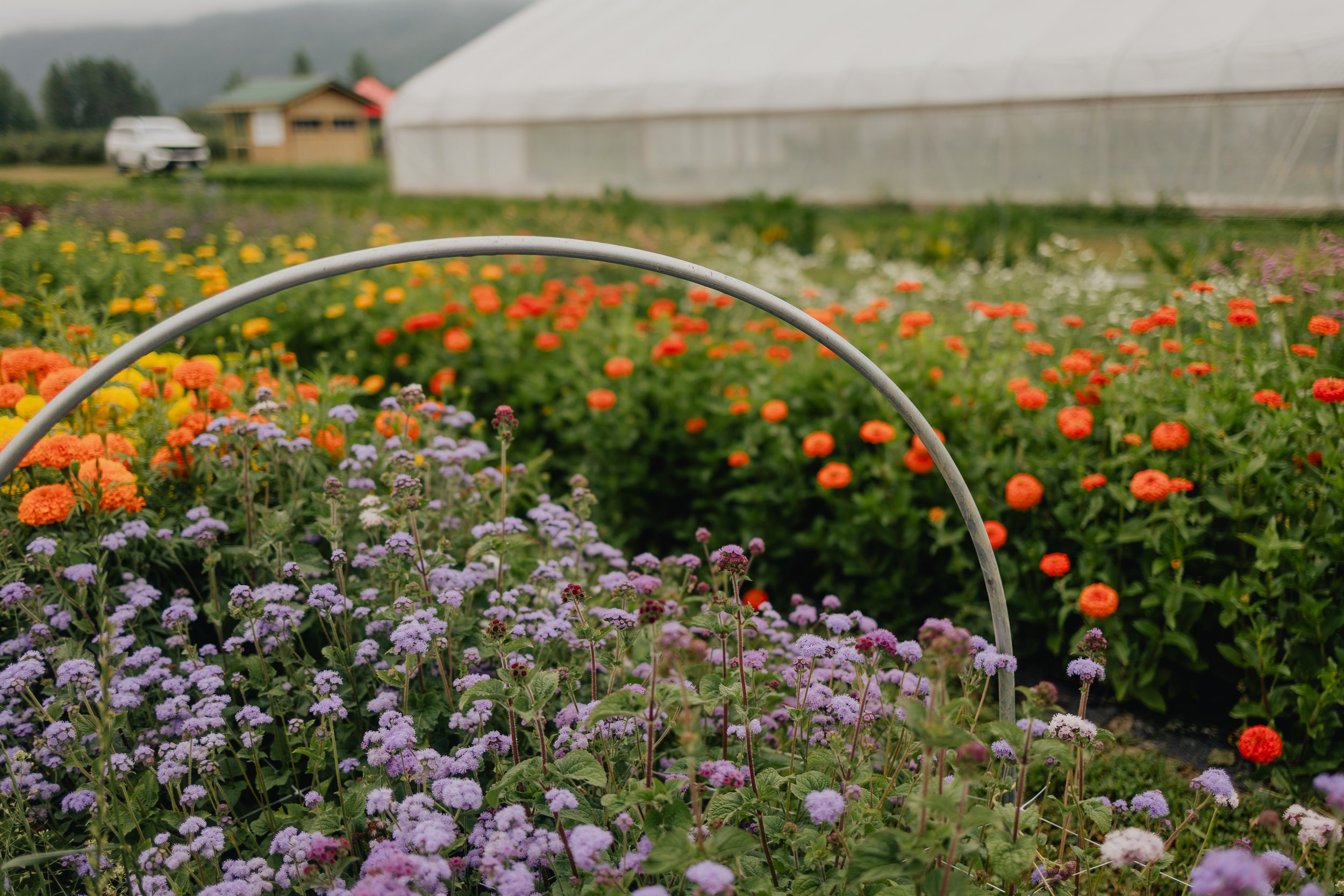 Katie Sutter Photo (132 of 270).jpg