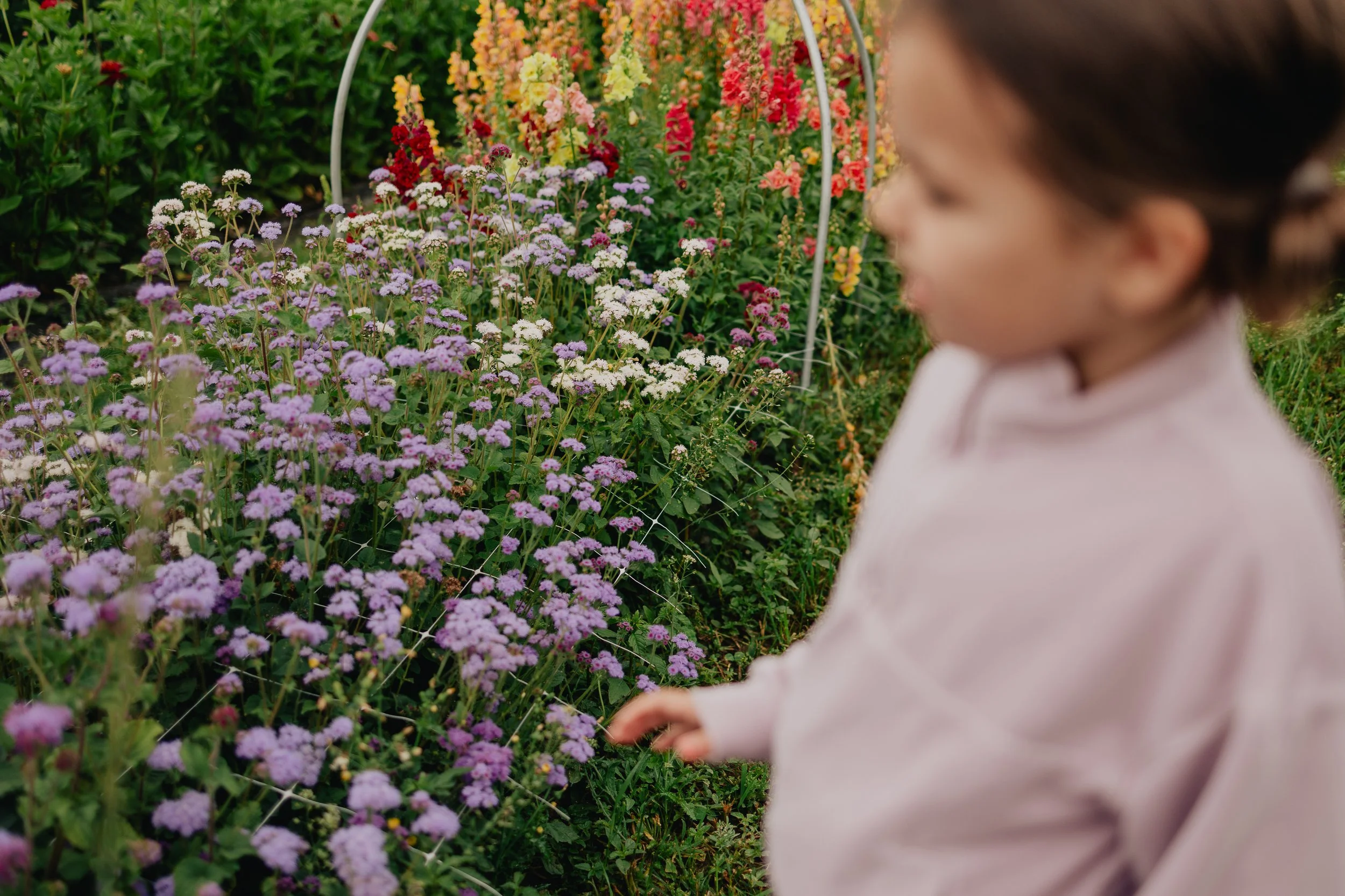 Katie Sutter Photo (134 of 270).jpg