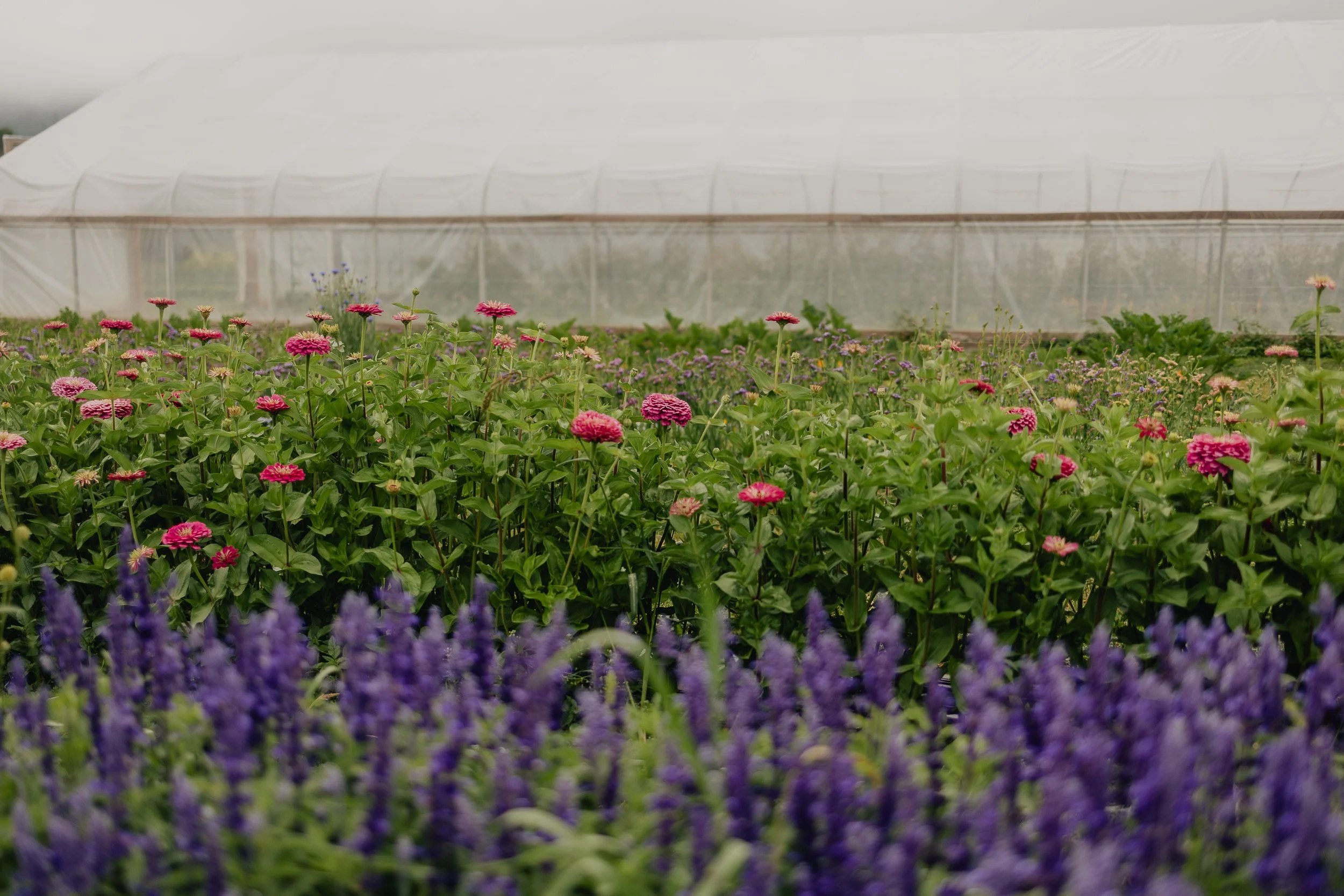 Katie Sutter Photo (138 of 270).jpg