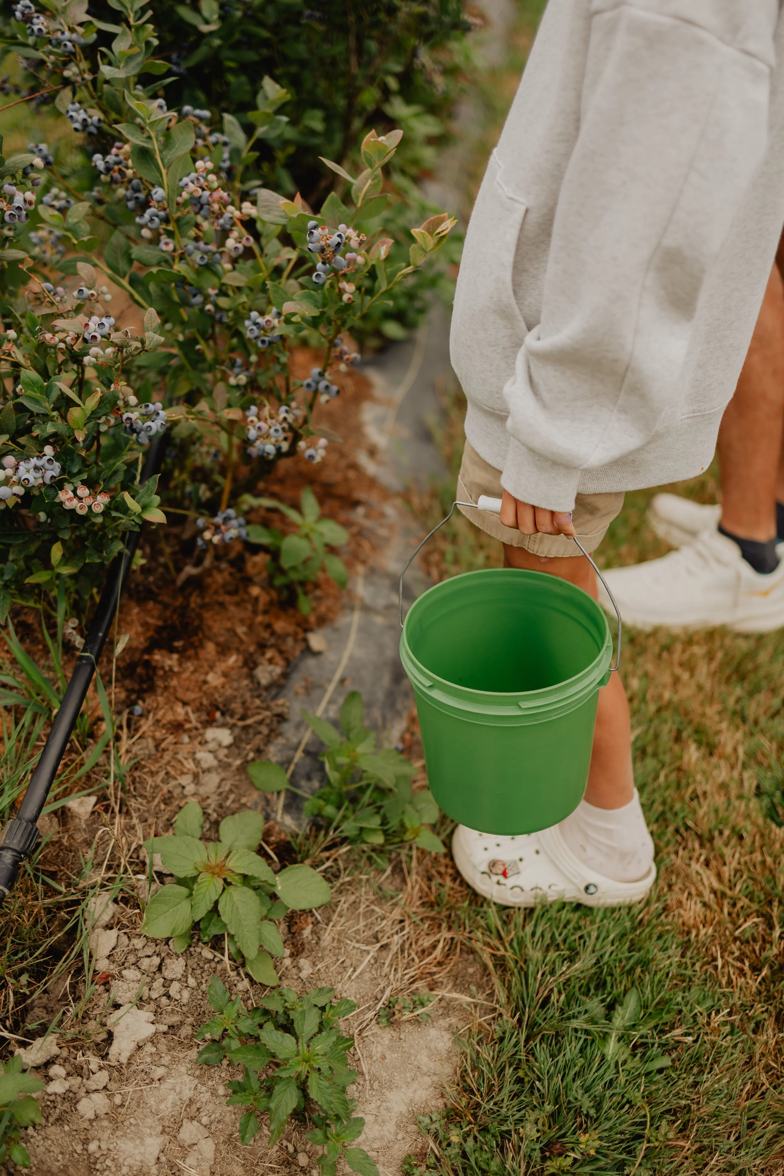 Katie Sutter Photo (146 of 270).jpg