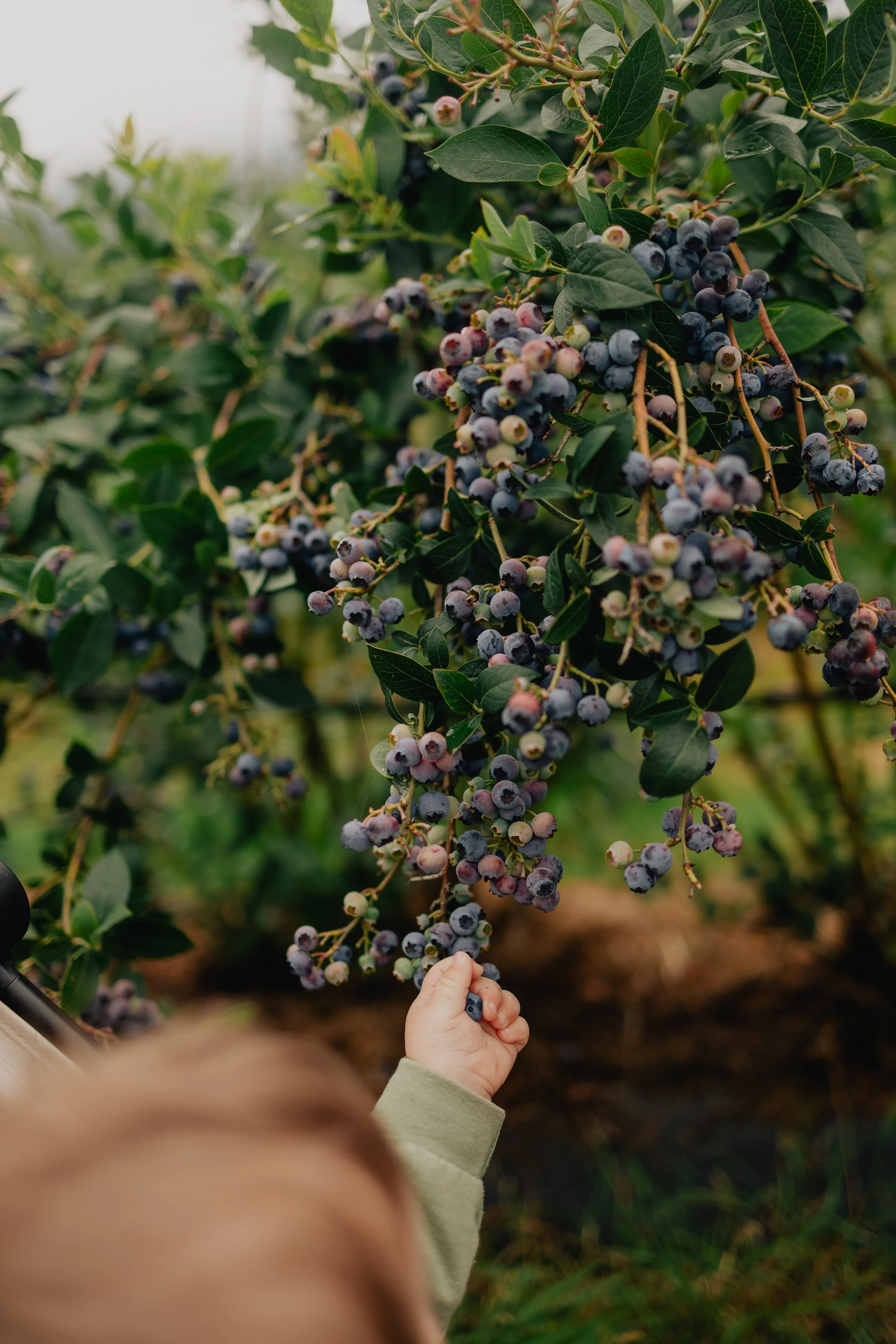 Katie Sutter Photo (155 of 270).jpg