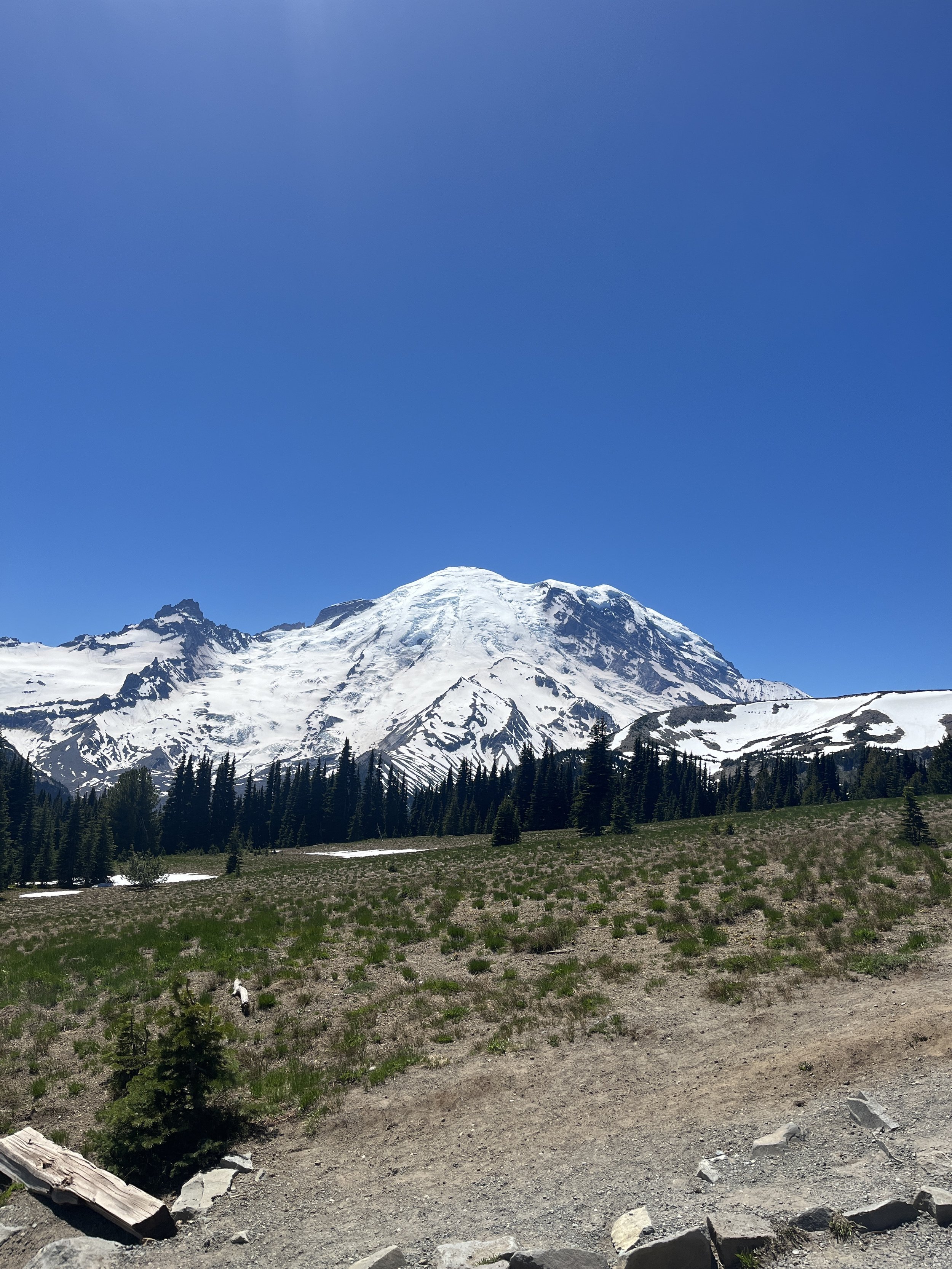 IMG_5066.jpeg