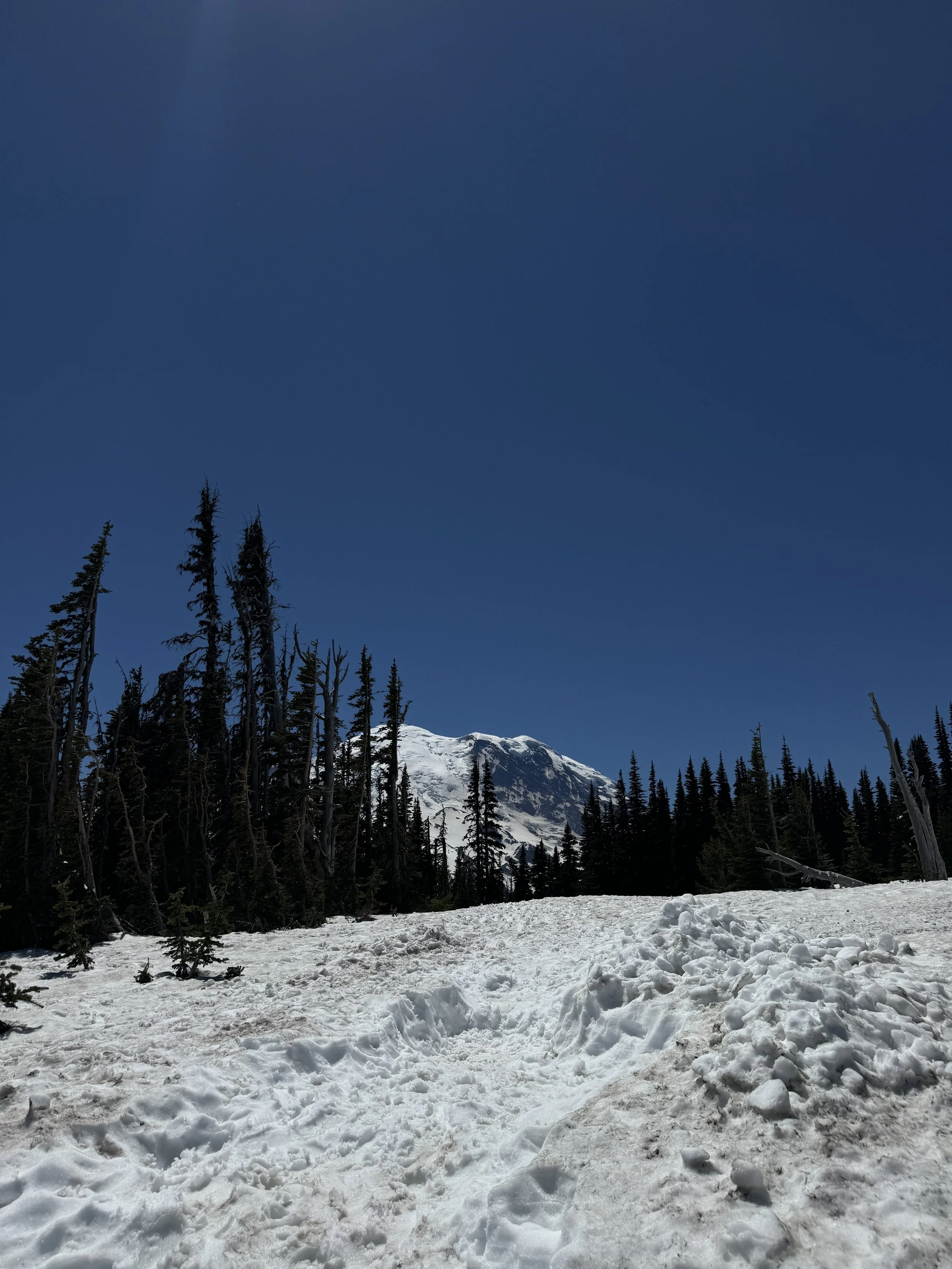 IMG_4501.jpeg