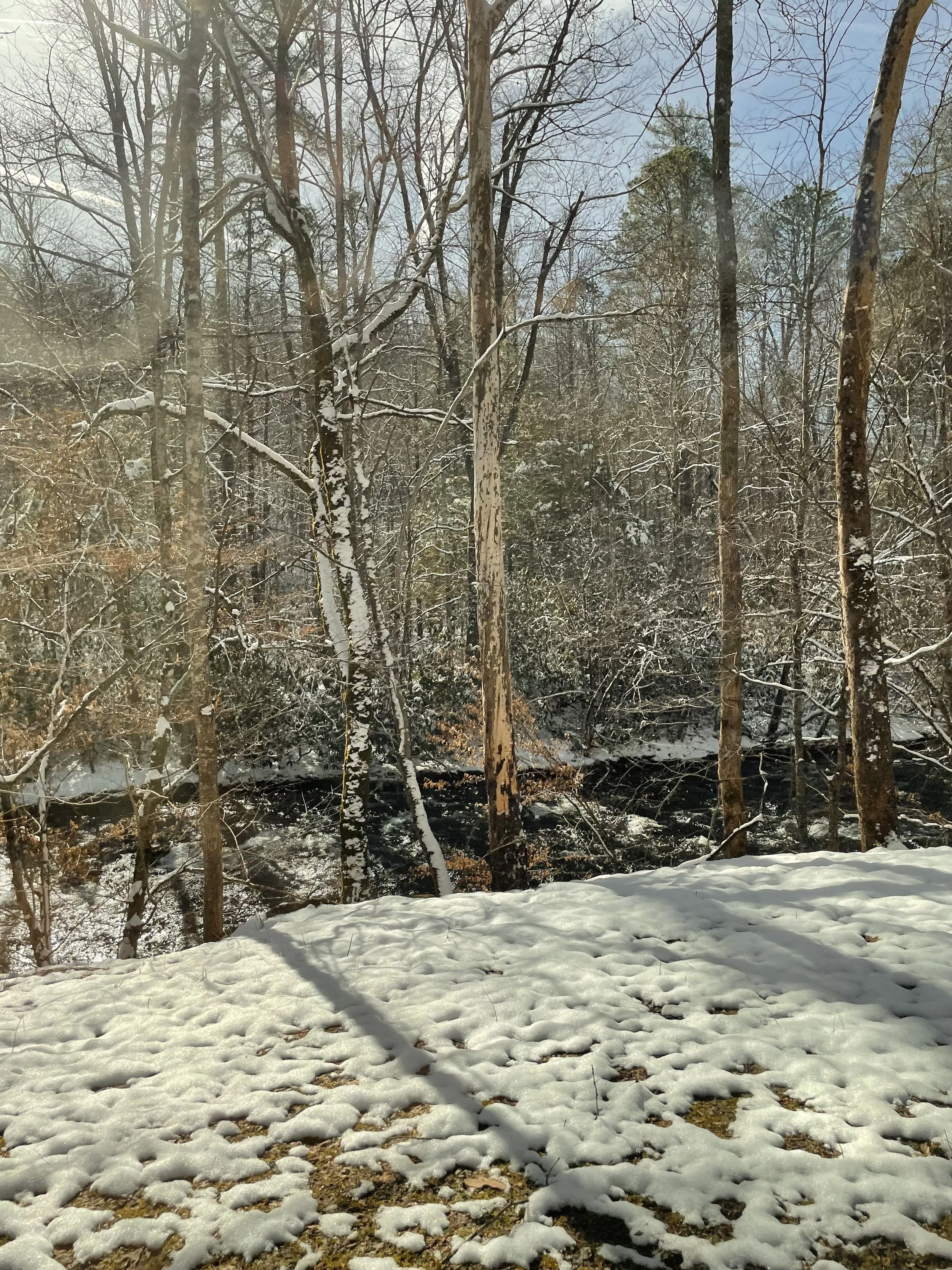 IMG_7294_01_2023.jpeg