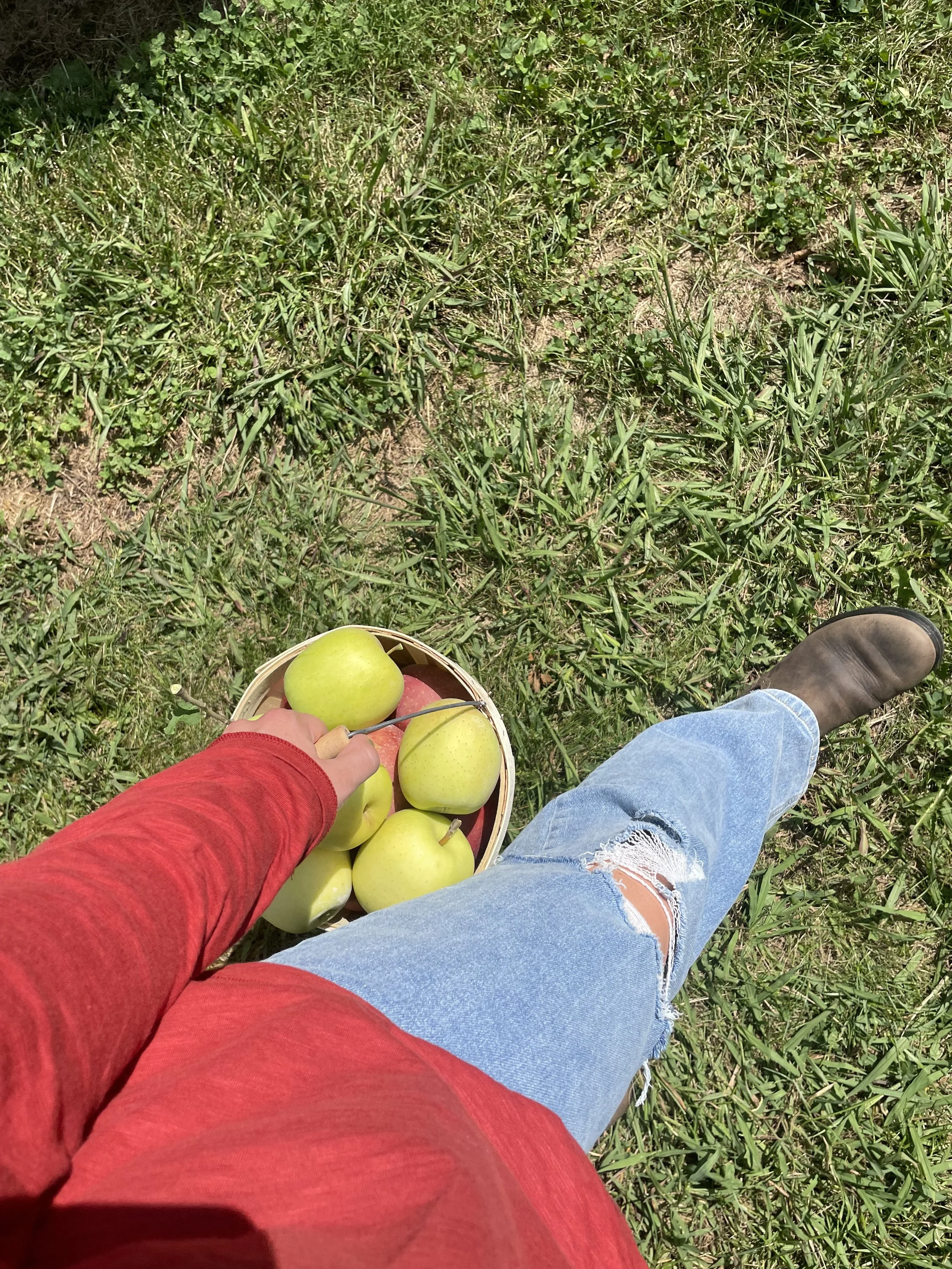 IMG_8806.jpeg