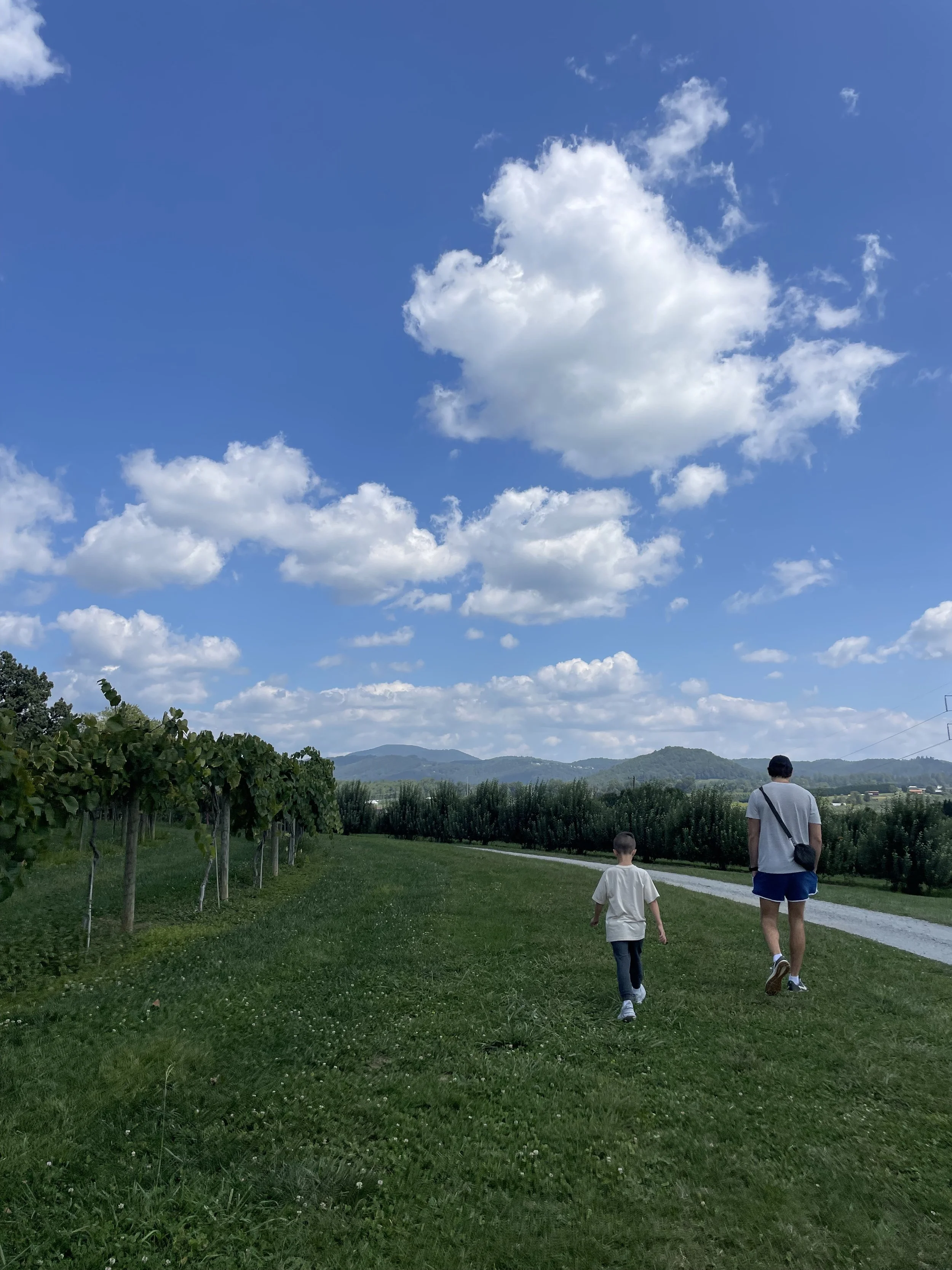 IMG_8776.jpeg
