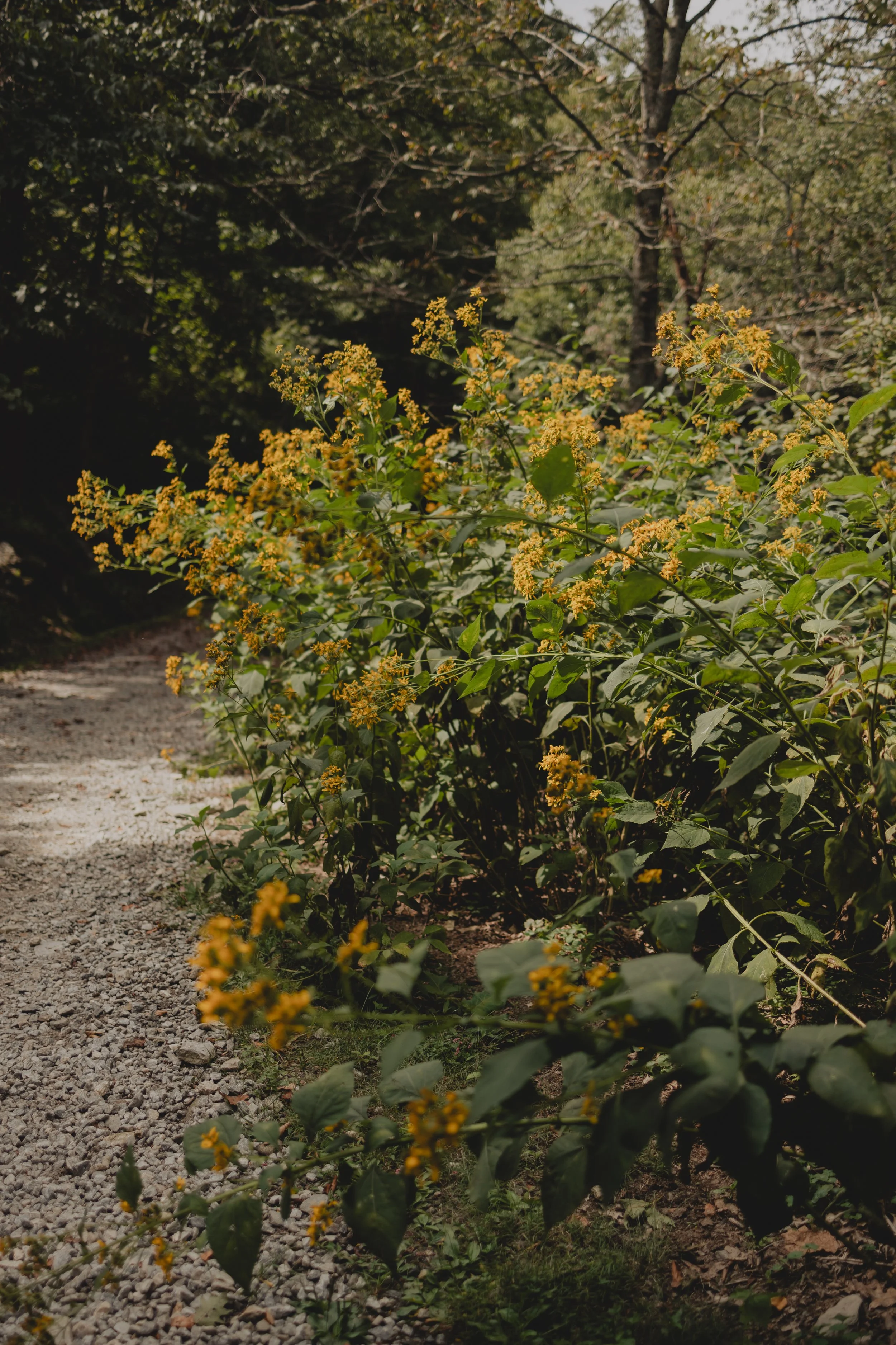 Katie Sutter Photo (154 of 261).jpg