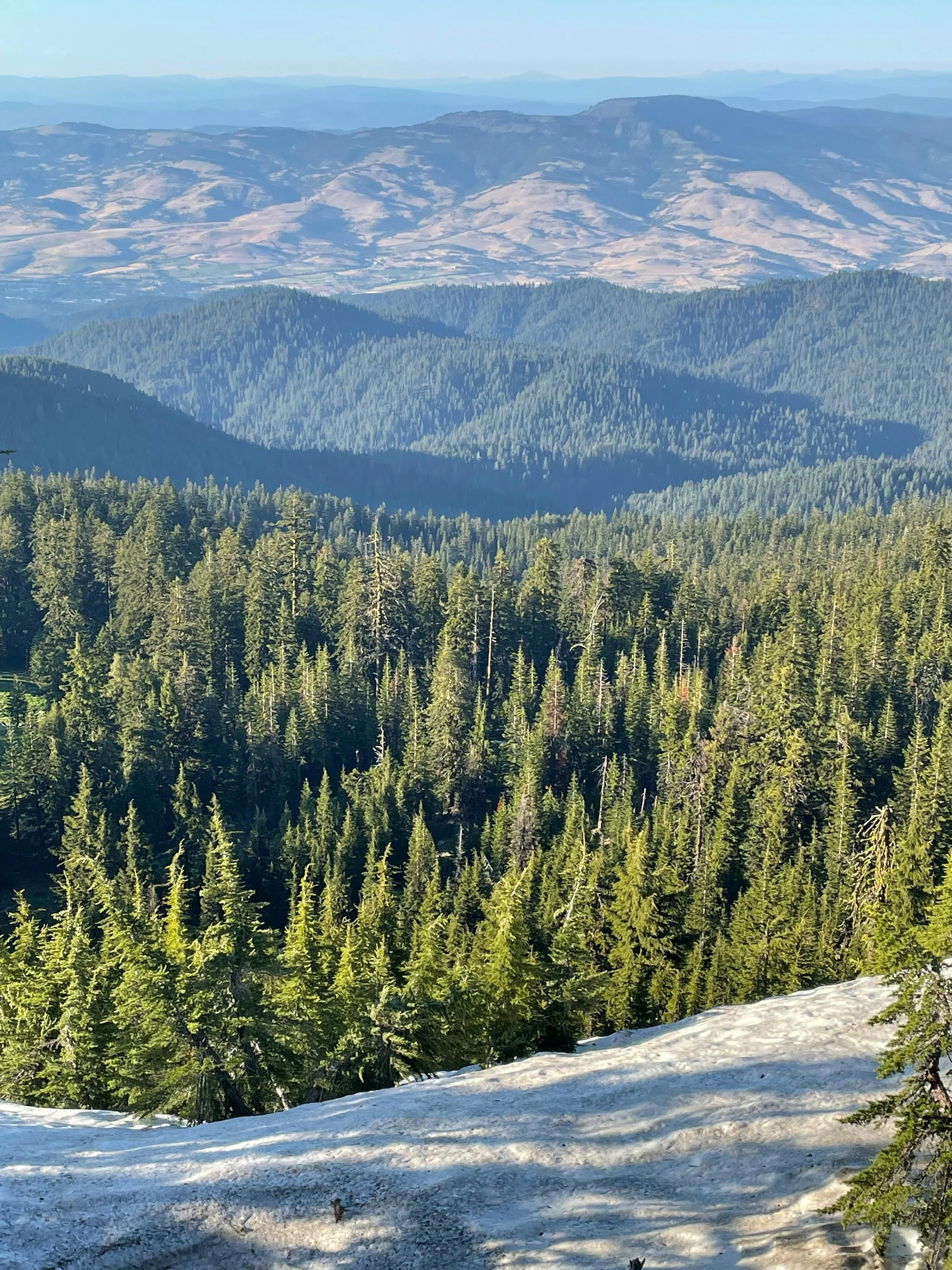A view of a forested mountain range with layers of hills and mountains extending into the distance under a clear sky.