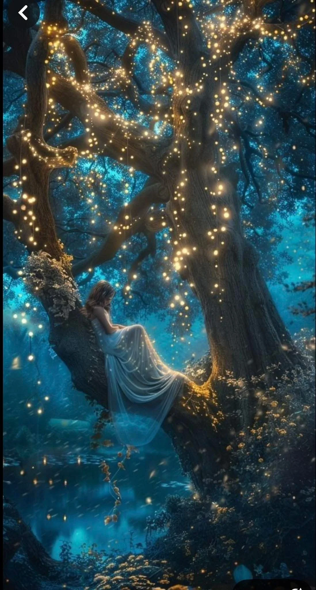 What Happens After Ayahuasca: The Forgotten Phase of Integration