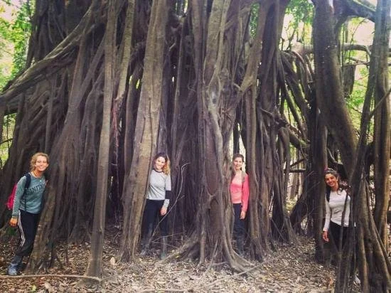 Ayahuasca Retreats in the Peruvian Amazon: Why Location Matters