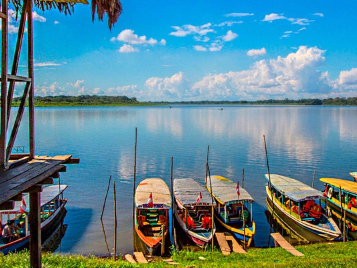 Why Pucallpa Is a Major Center for Shipibo Plant Medicine