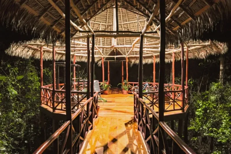 The Complete Guide to Ayahuasca Retreats in Peru (2026)