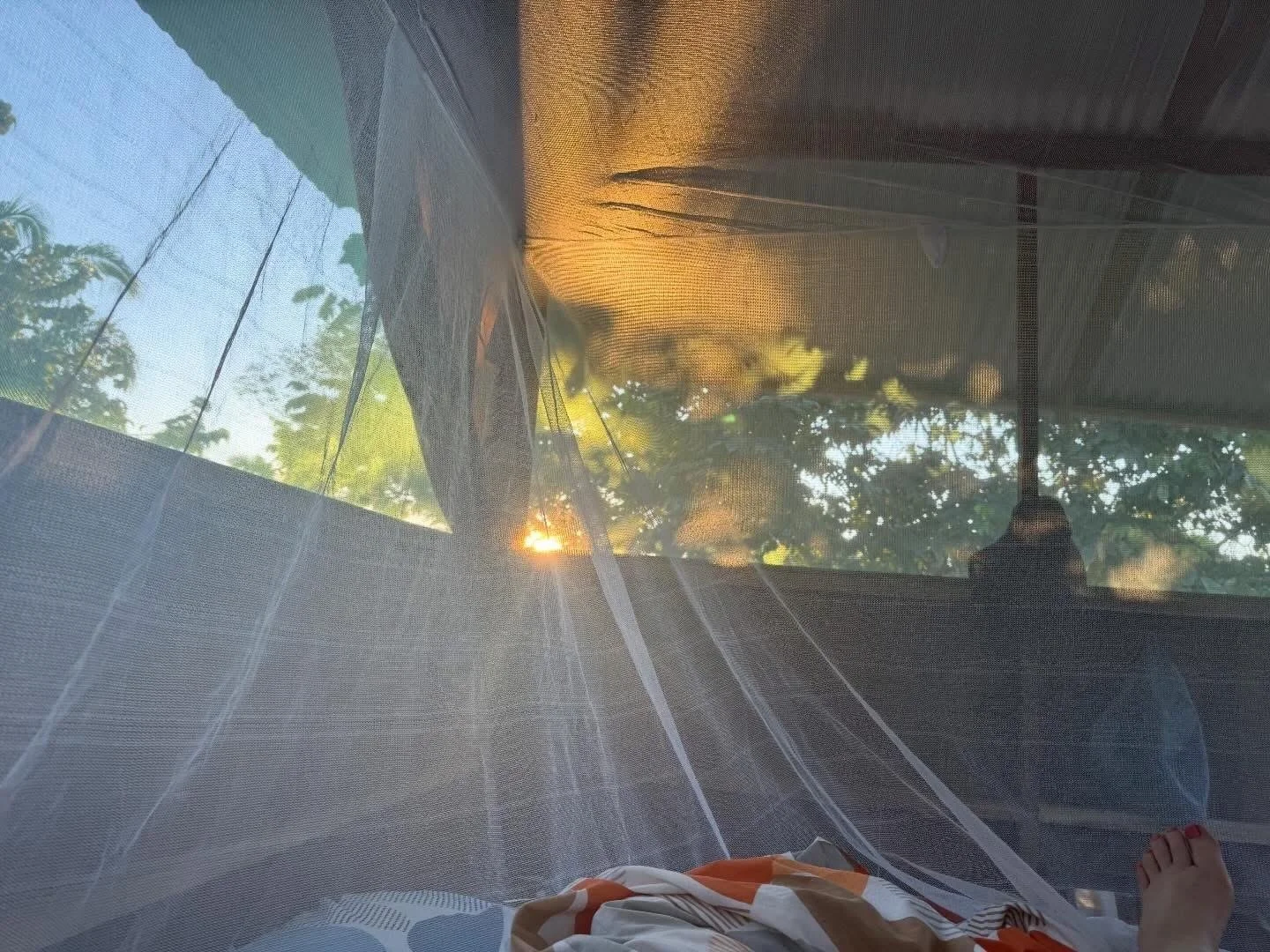 View from inside casita #1, under bed netting