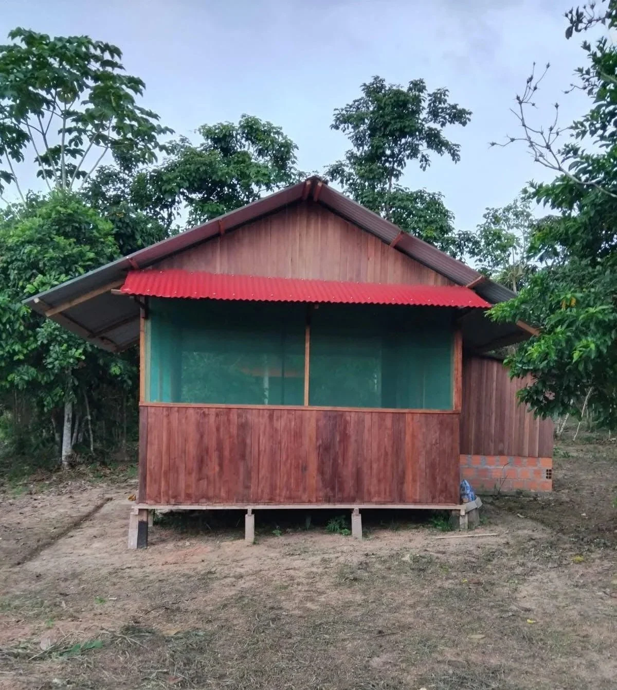 A small wooden house with a red corrugated metal roof, situated on stilts, with green screened windows and surrounded by trees.