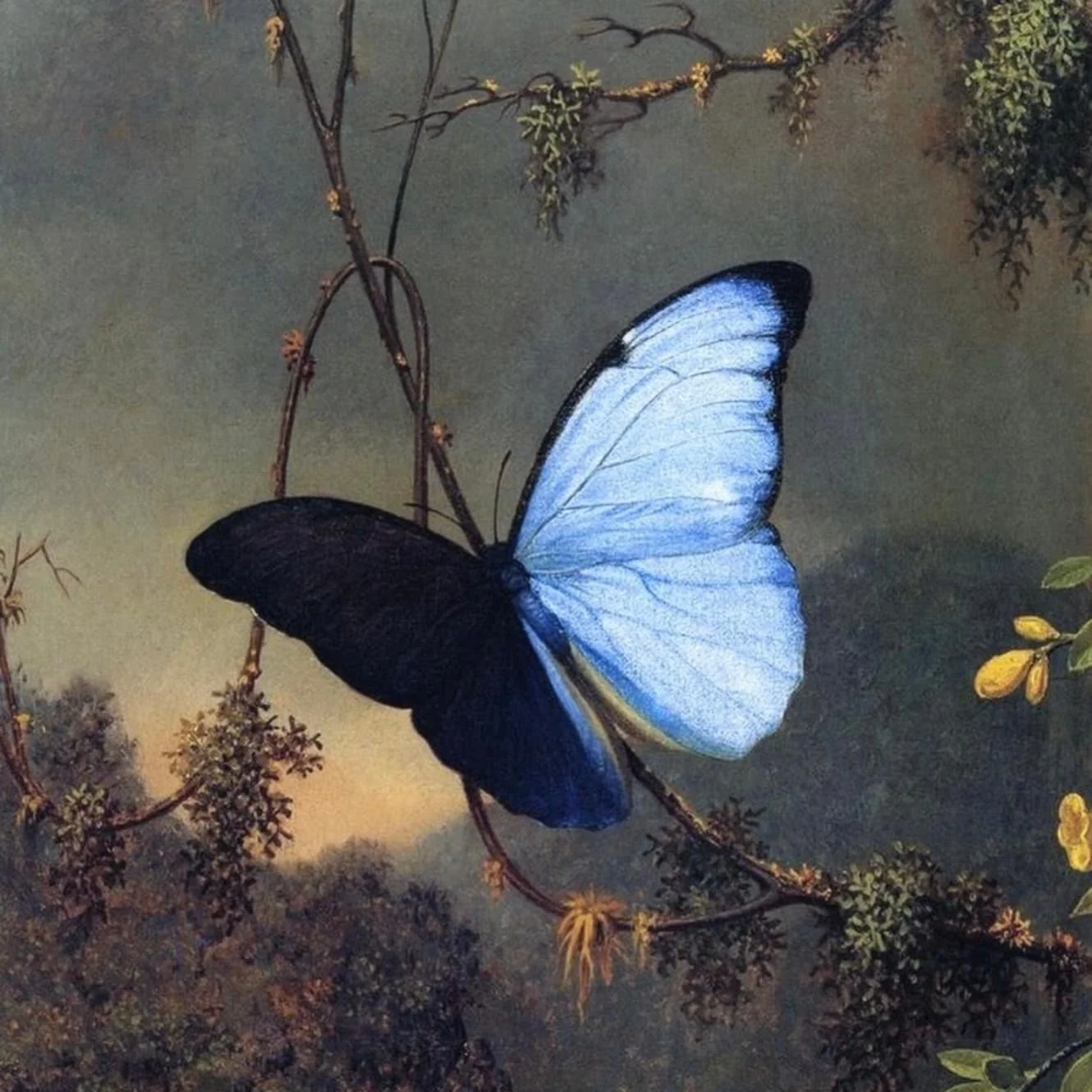 A blue butterfly perched on a branch with foliage, set against a muted background.