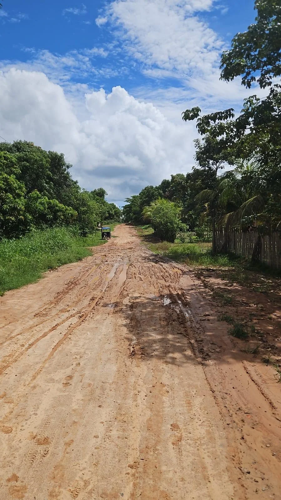 The road to walk to Sui Pino center for coconut drinks
