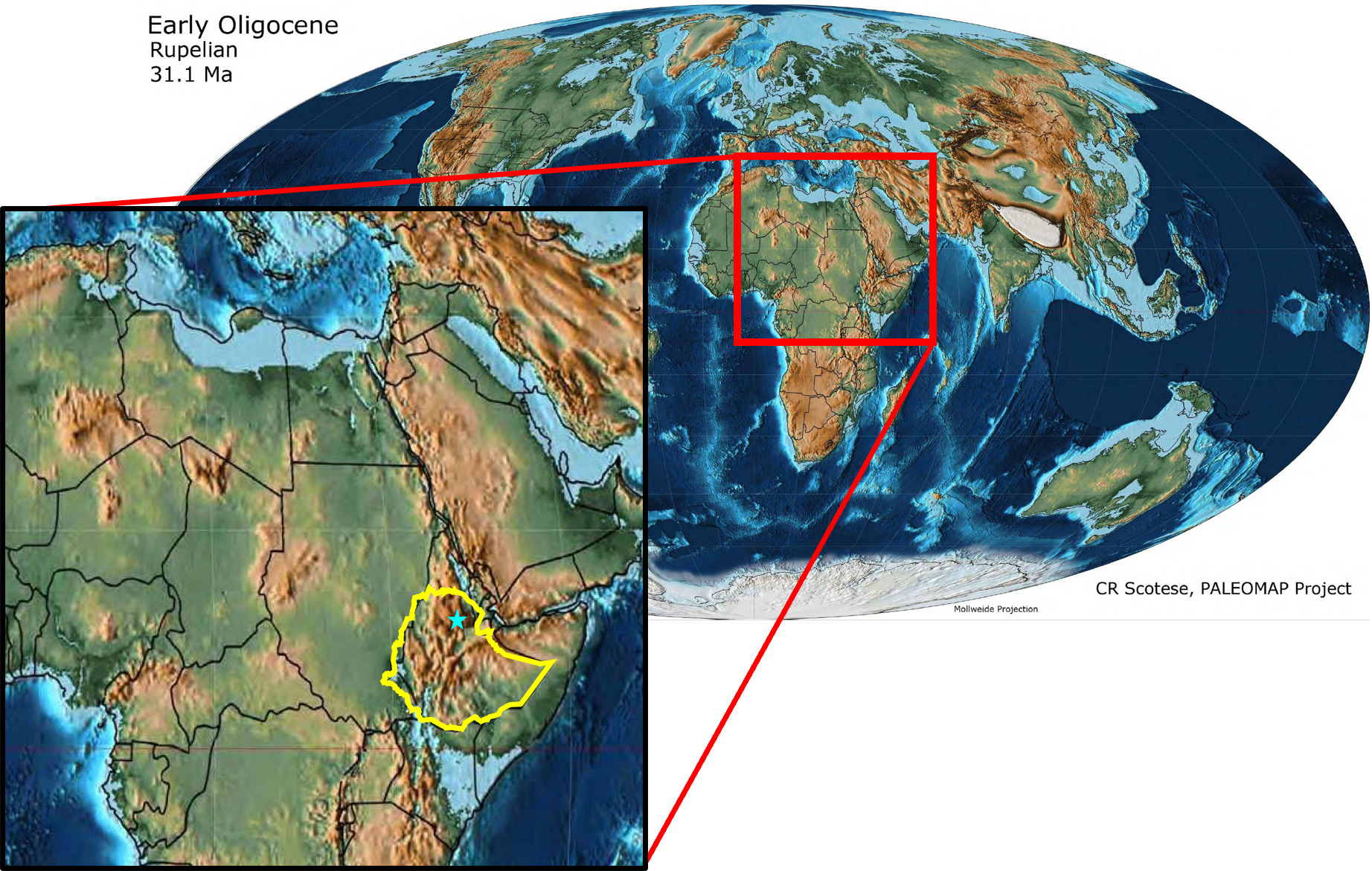 Paleogeographic Reconstruction