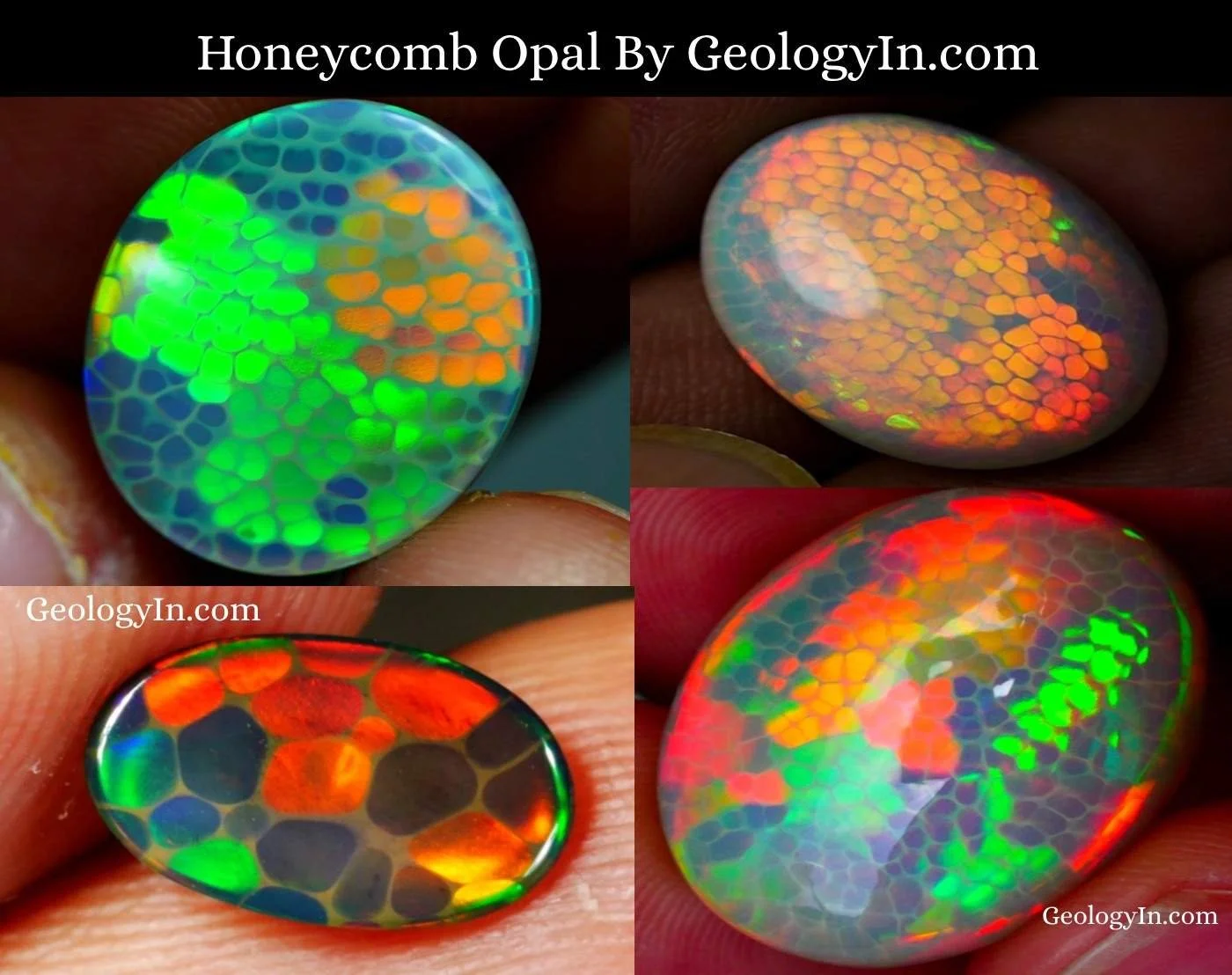 Honeycomb/Digits