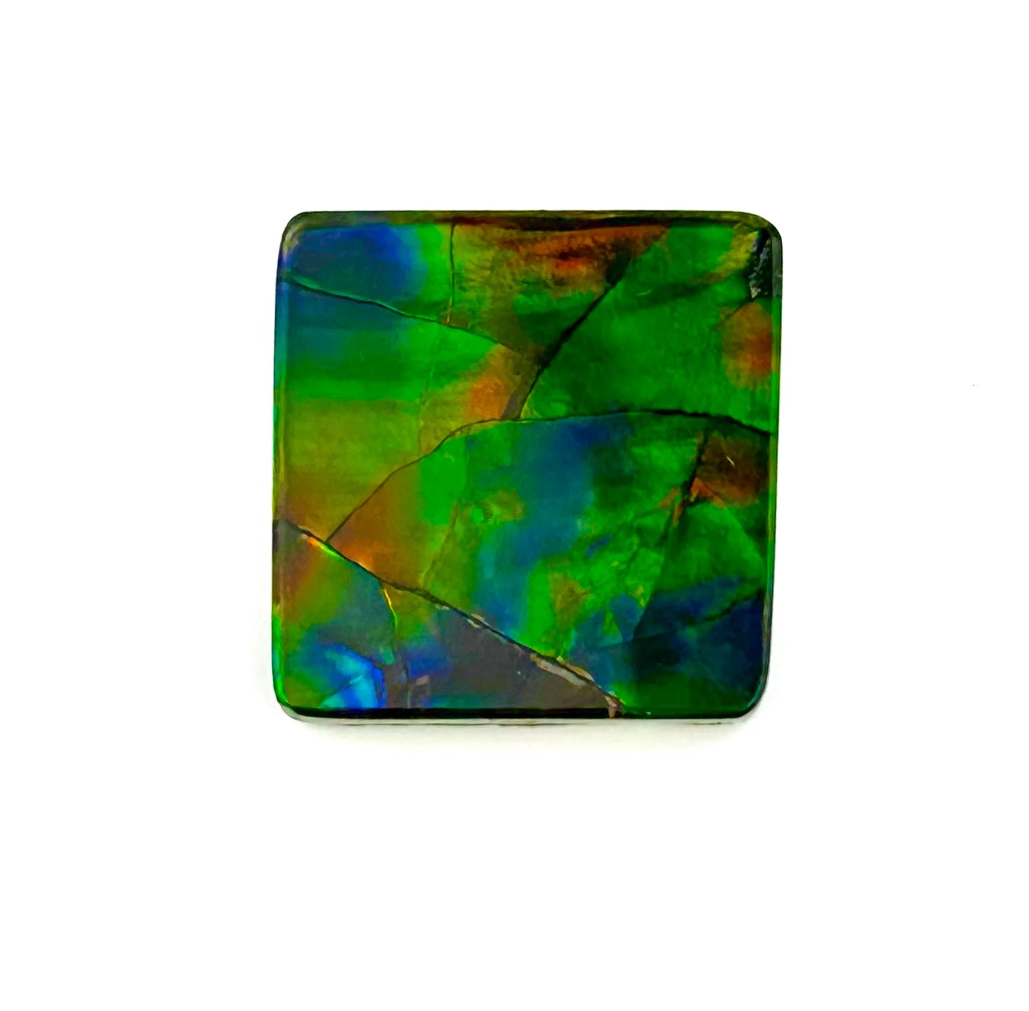 Square ammolite cabochon with green blue and red