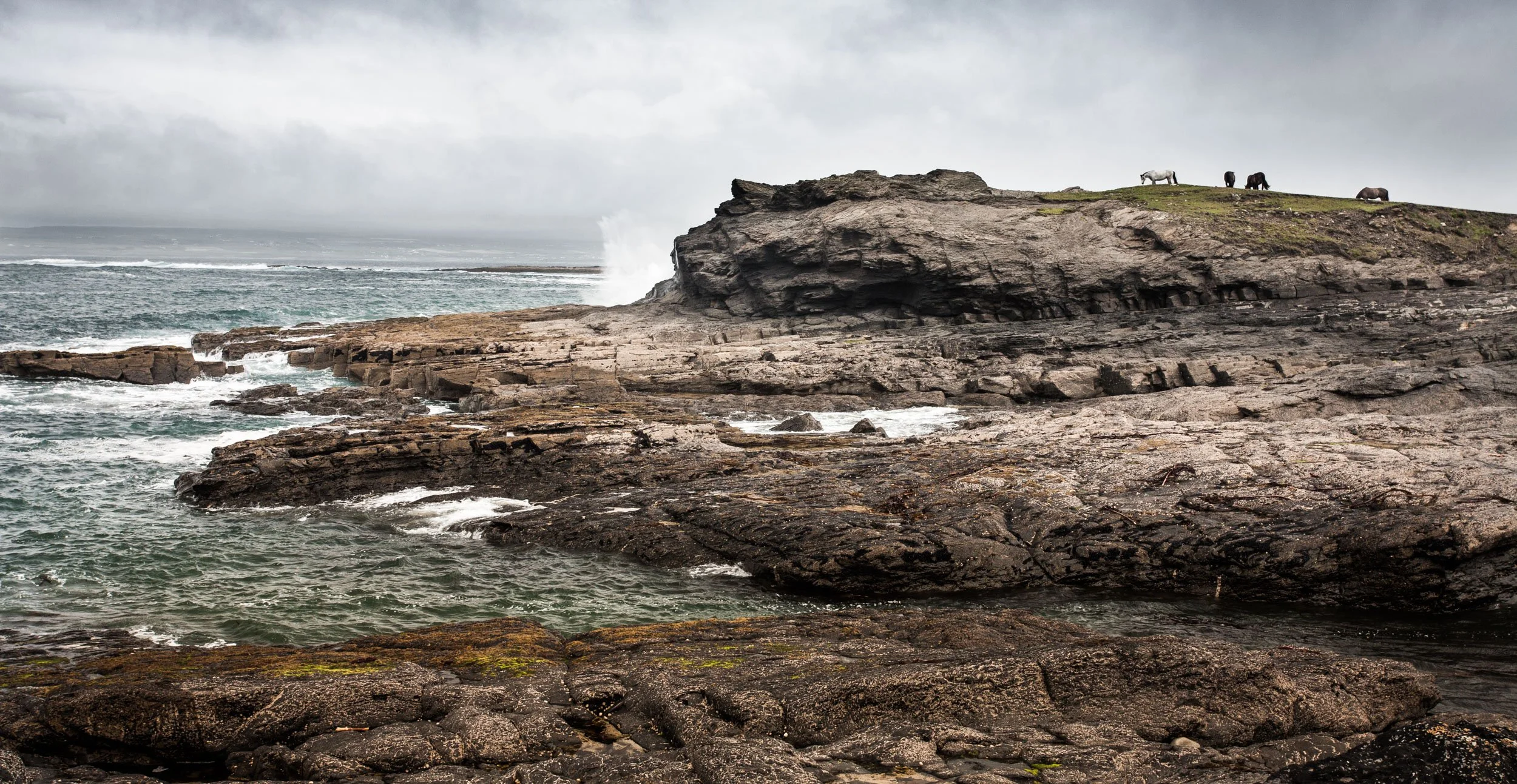 steppenwolf-fotografie-travel-ireland-berner-070701-0032.jpg