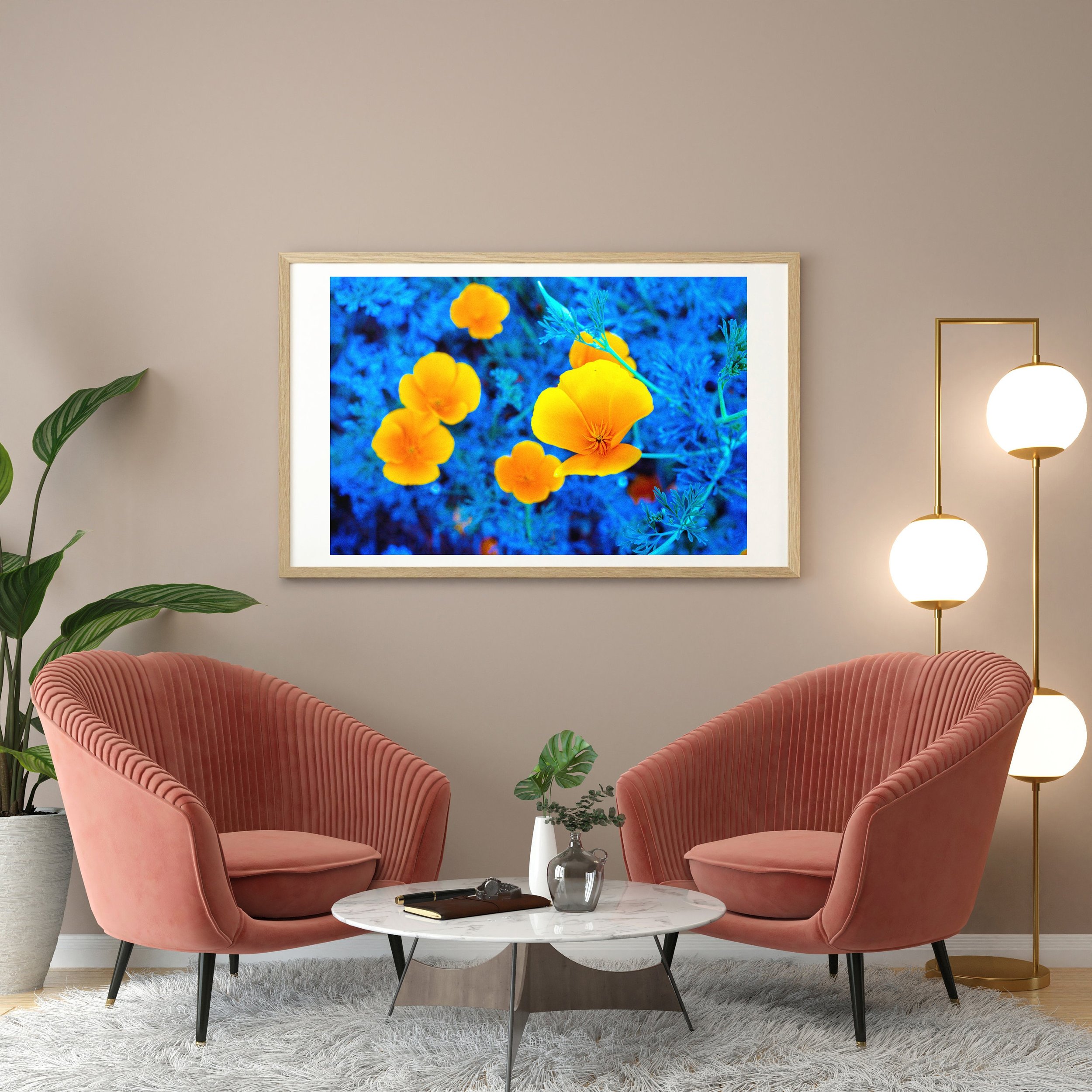 https://i.etsystatic.com/36388428/r/il/aed807/4050164039/il_fullxfull.4050164039_s81e.jpg
