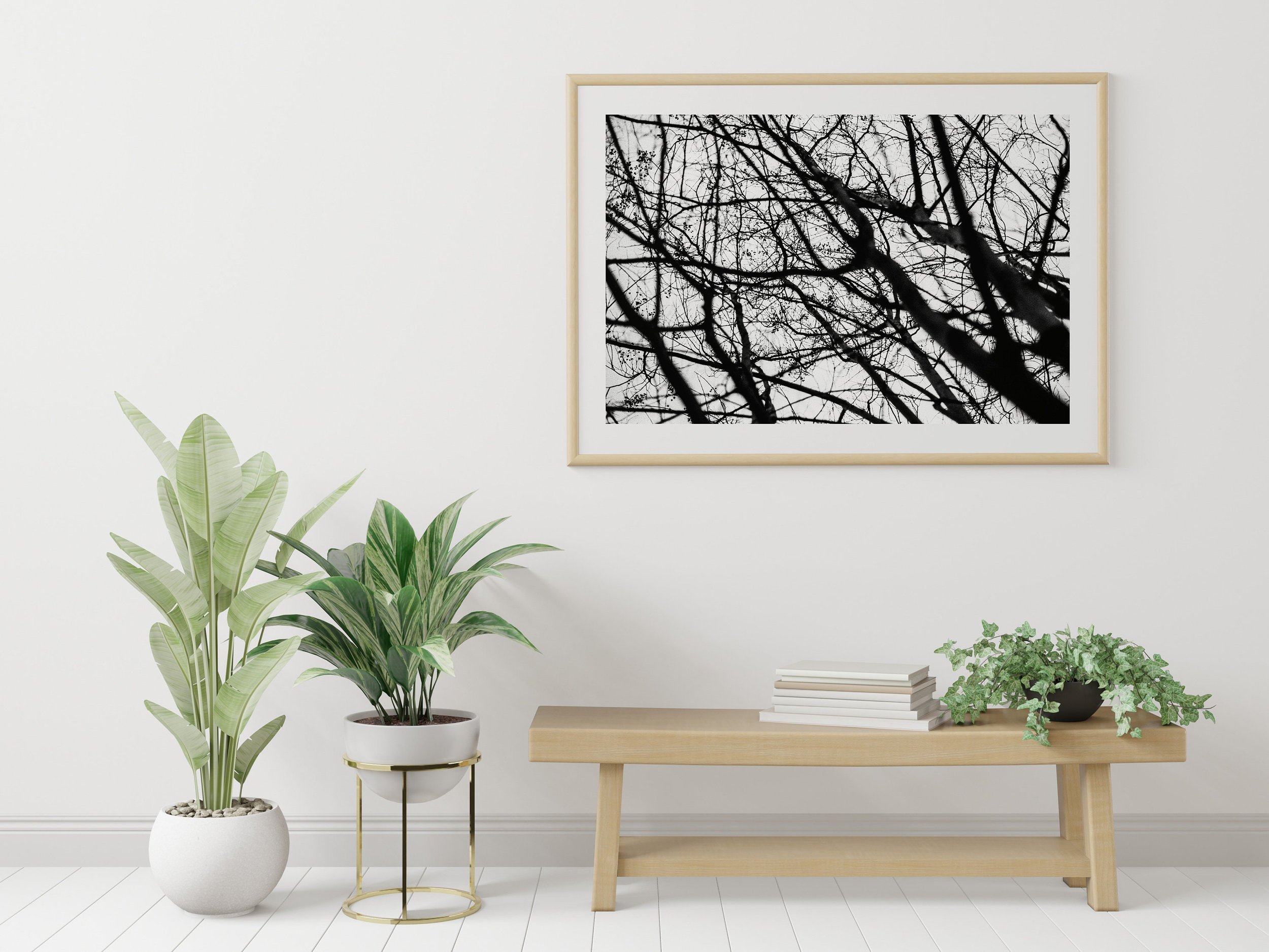 https://i.etsystatic.com/36388428/r/il/03220e/4002537018/il_fullxfull.4002537018_lzse.jpg