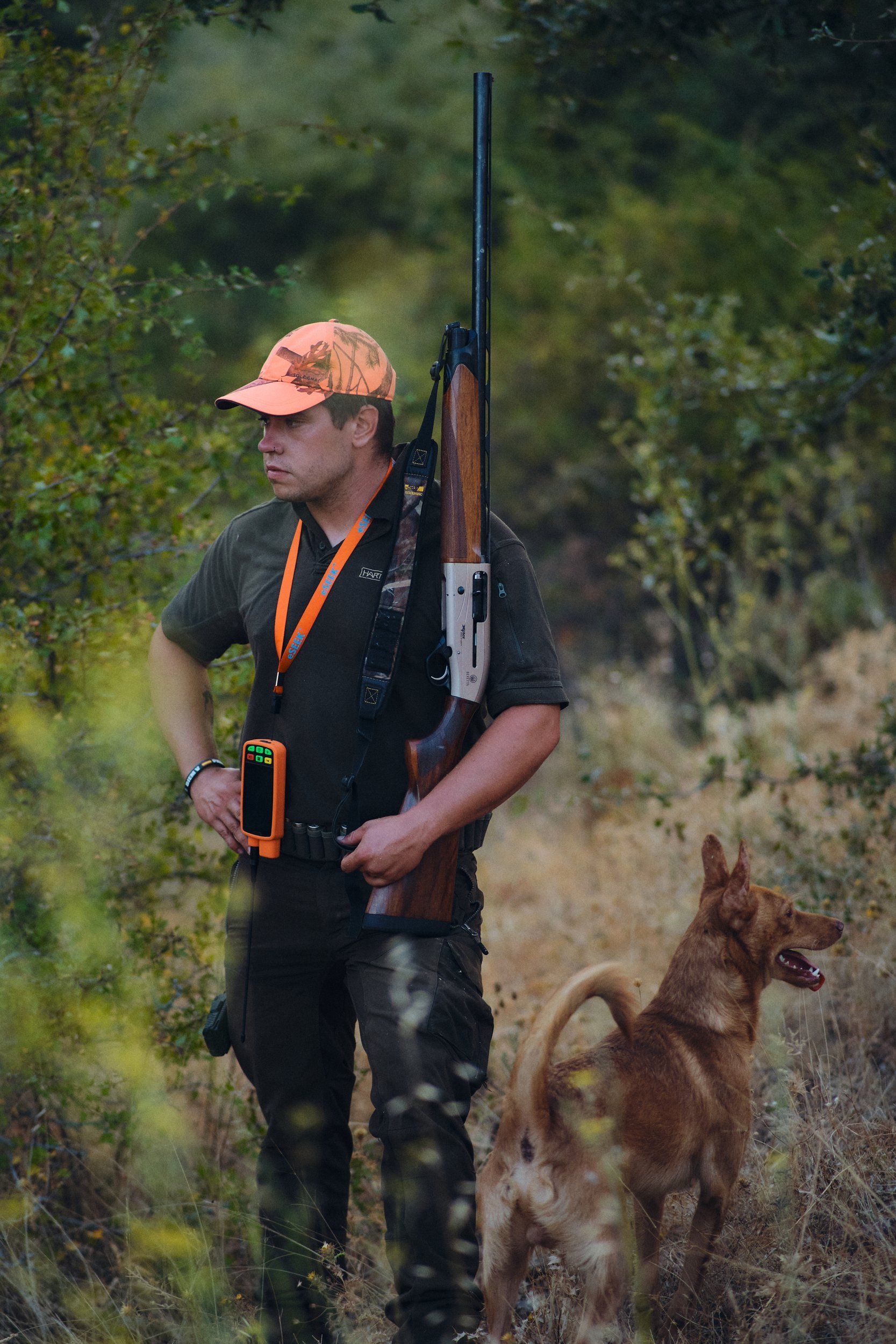Hunter with his podenco dog in Spain