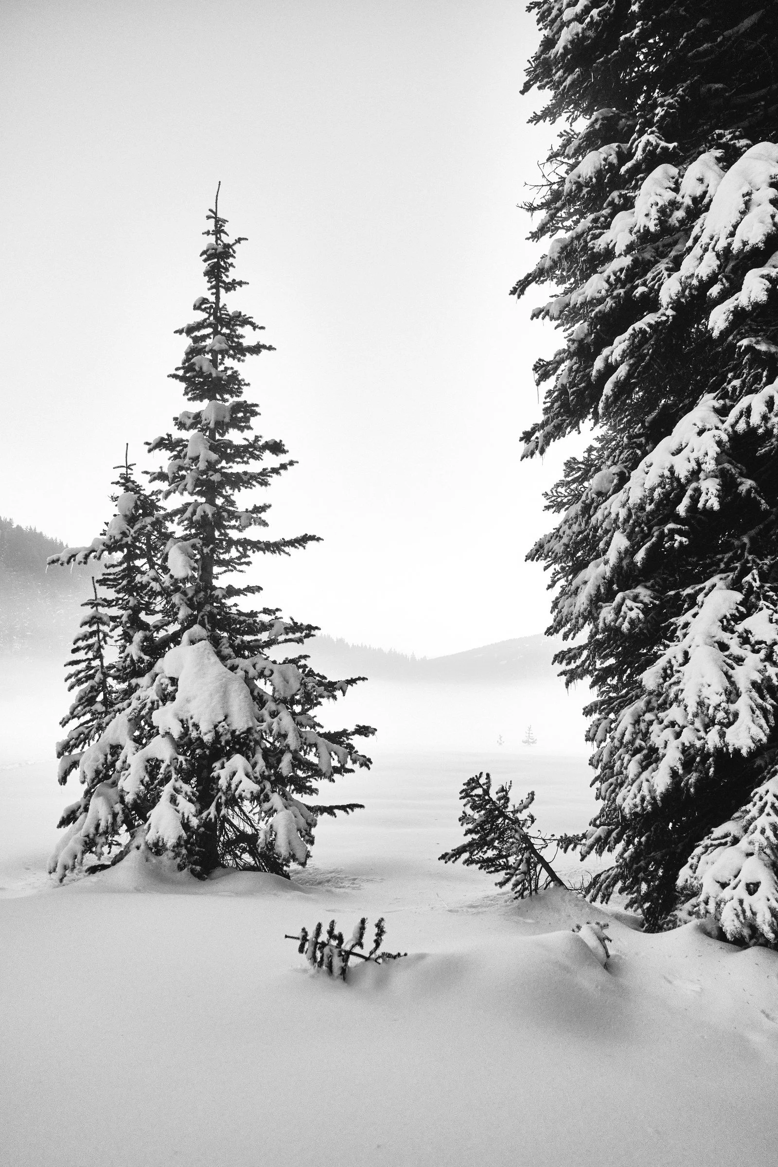 Todd Lake, near Mt. Bachelor, Oregon