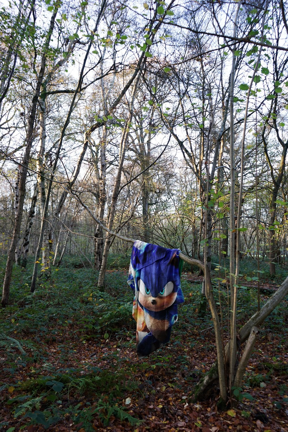 Sonic.jpg