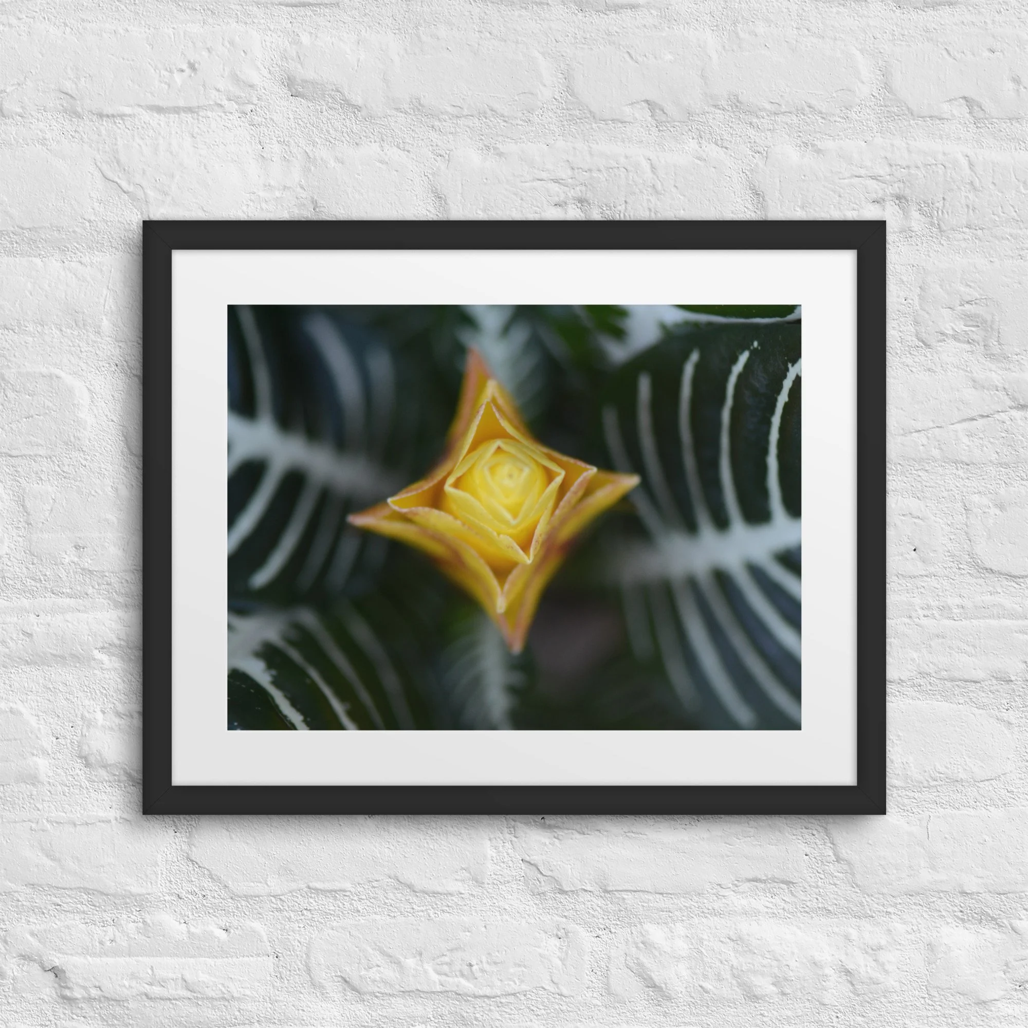 matte-paper-framed-poster-with-mat-(in)-black-16x20-front-66f5b66325f39.jpg