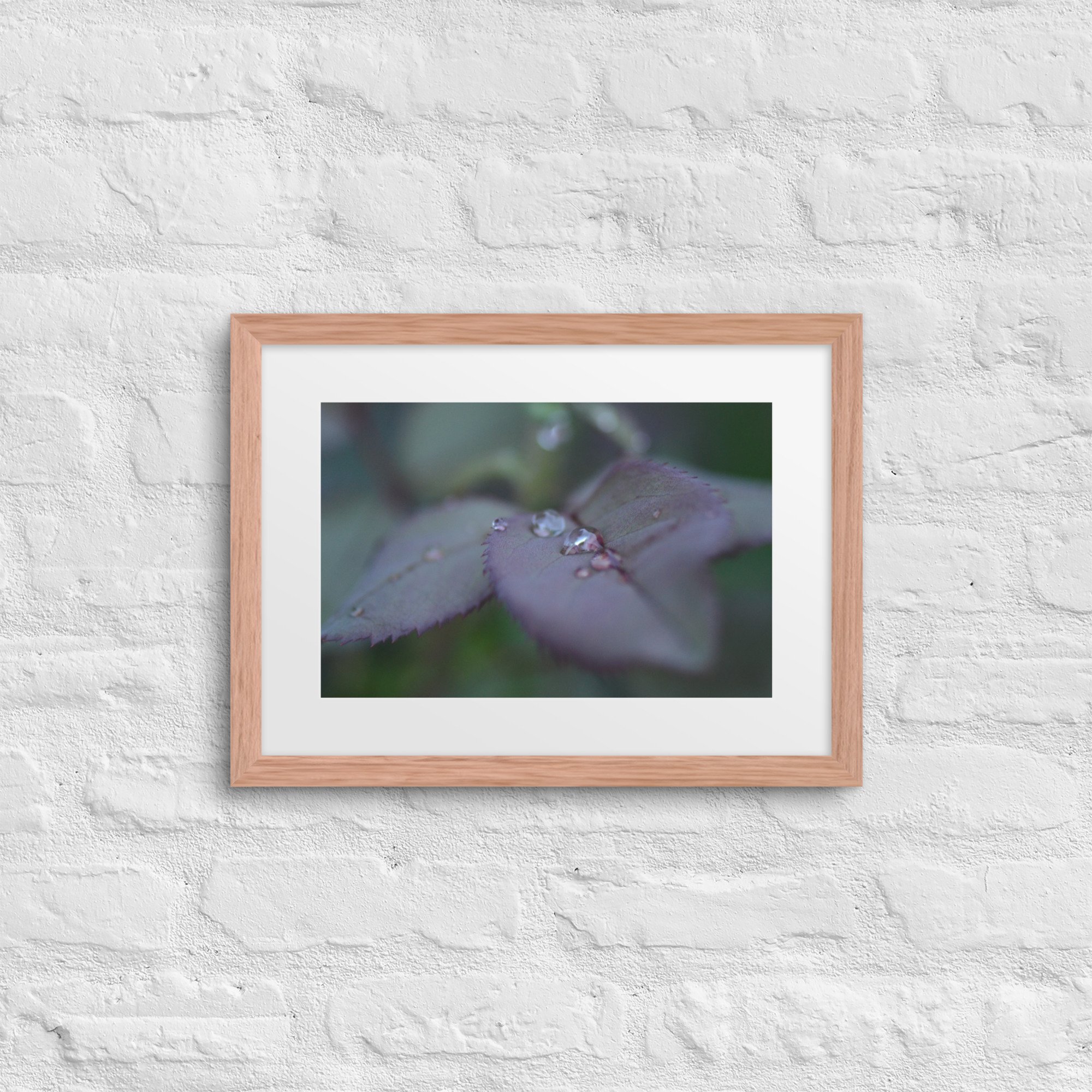 matte-paper-framed-poster-with-mat-(in)-red-oak-12x16-front-66f5b7776e3f1.jpg