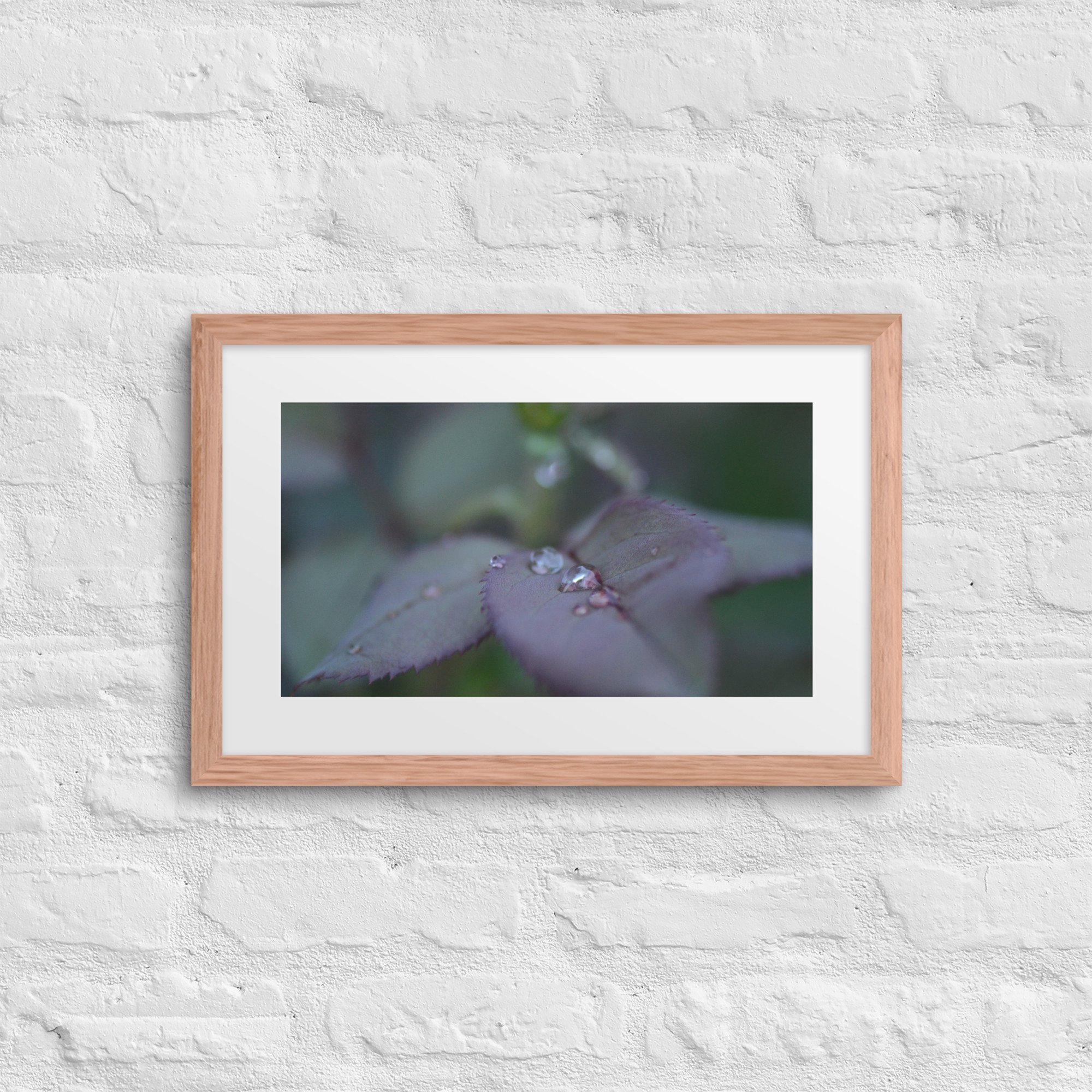 matte-paper-framed-poster-with-mat-(in)-red-oak-12x18-front-66f5b7776e47f.jpg