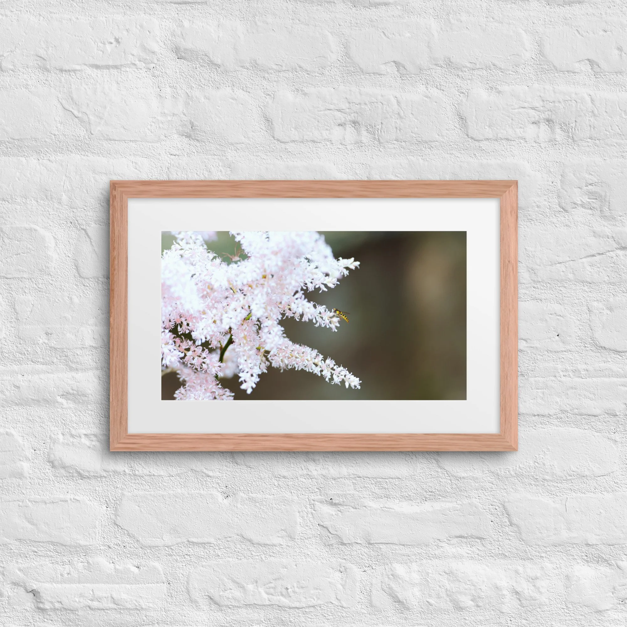 matte-paper-framed-poster-with-mat-(in)-red-oak-12x18-front-66f5d2973341b.jpg