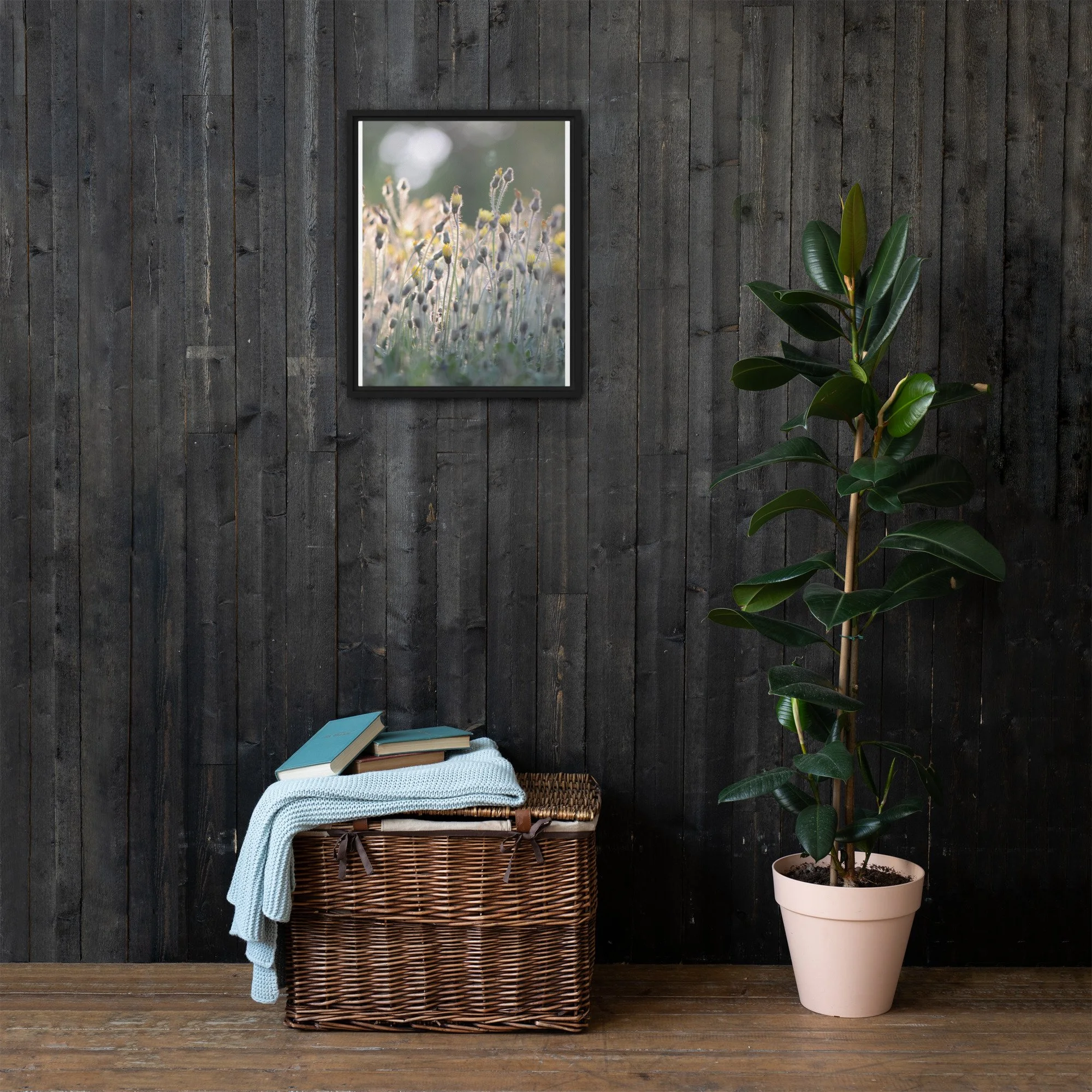 framed-canvas-(in)-black-16x20-front-66fb3931eadf2.jpg