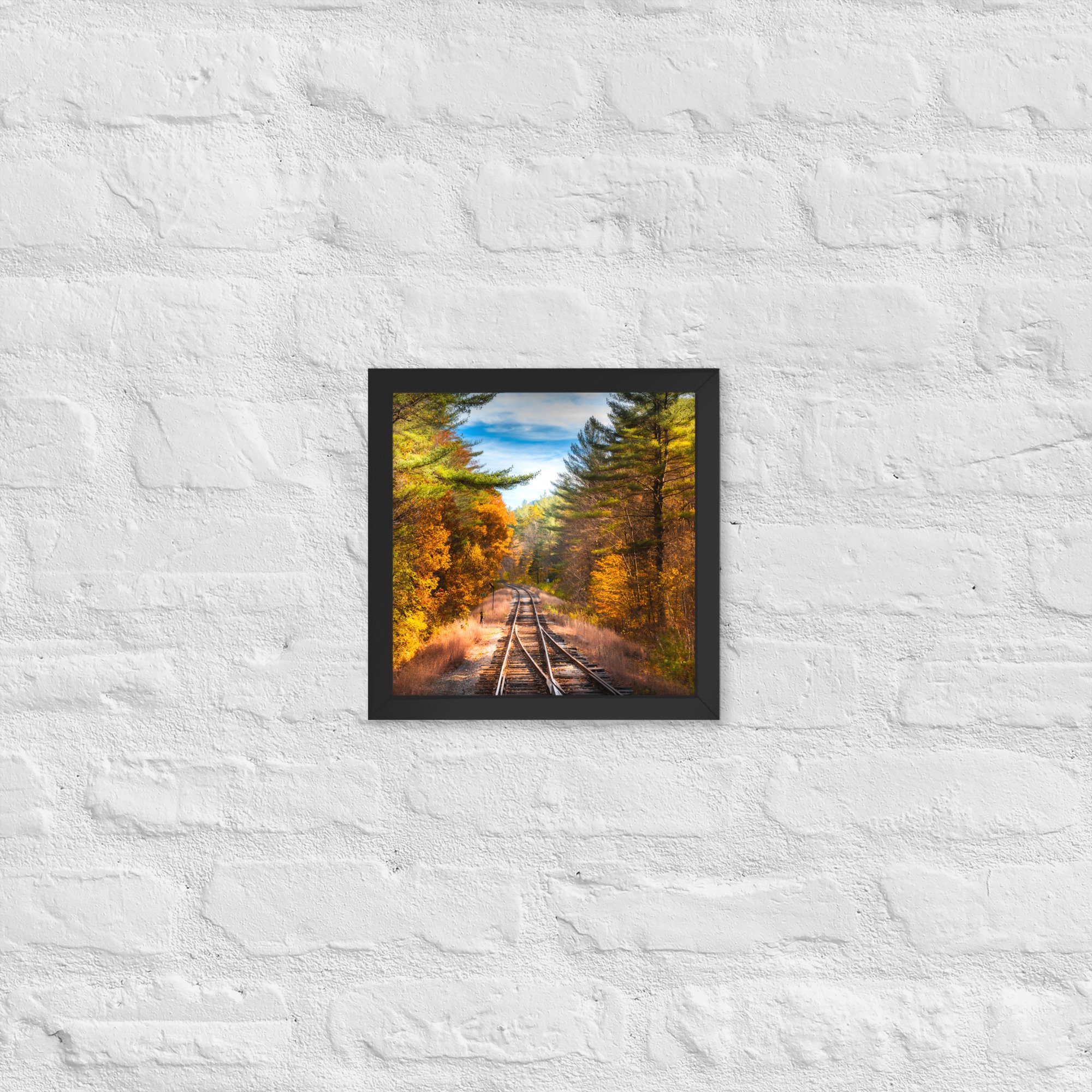 enhanced-matte-paper-framed-poster-(in)-black-10x10-front-67030c556bf06.jpg