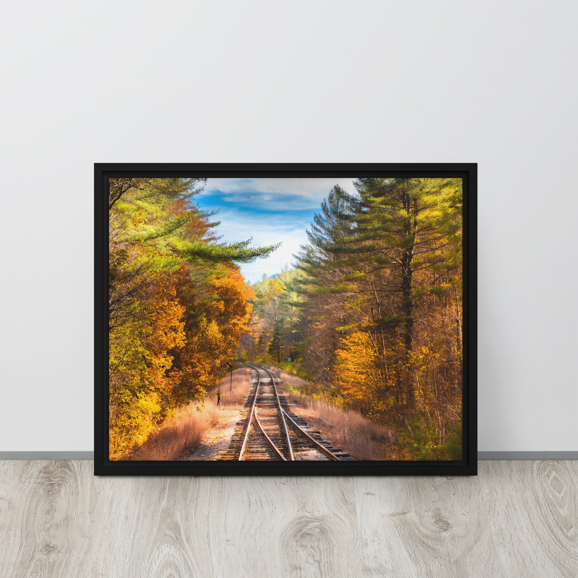 framed-canvas-(in)-black-16x20-front-67030d8a6c99b.jpg