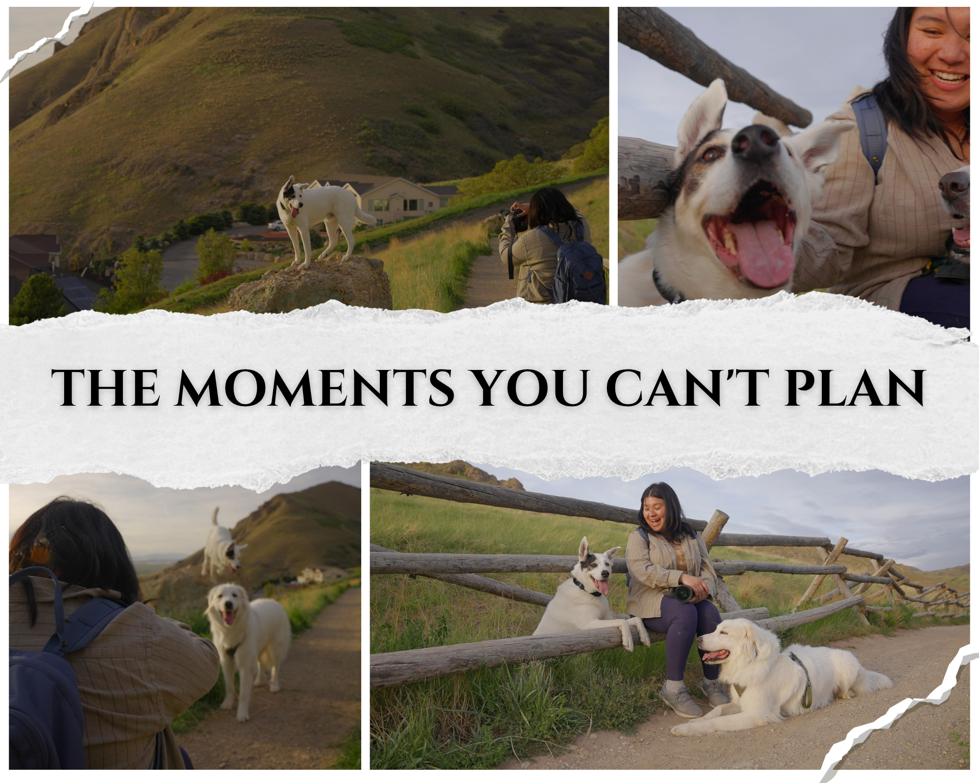 TUG: The Moments You Can't Plan