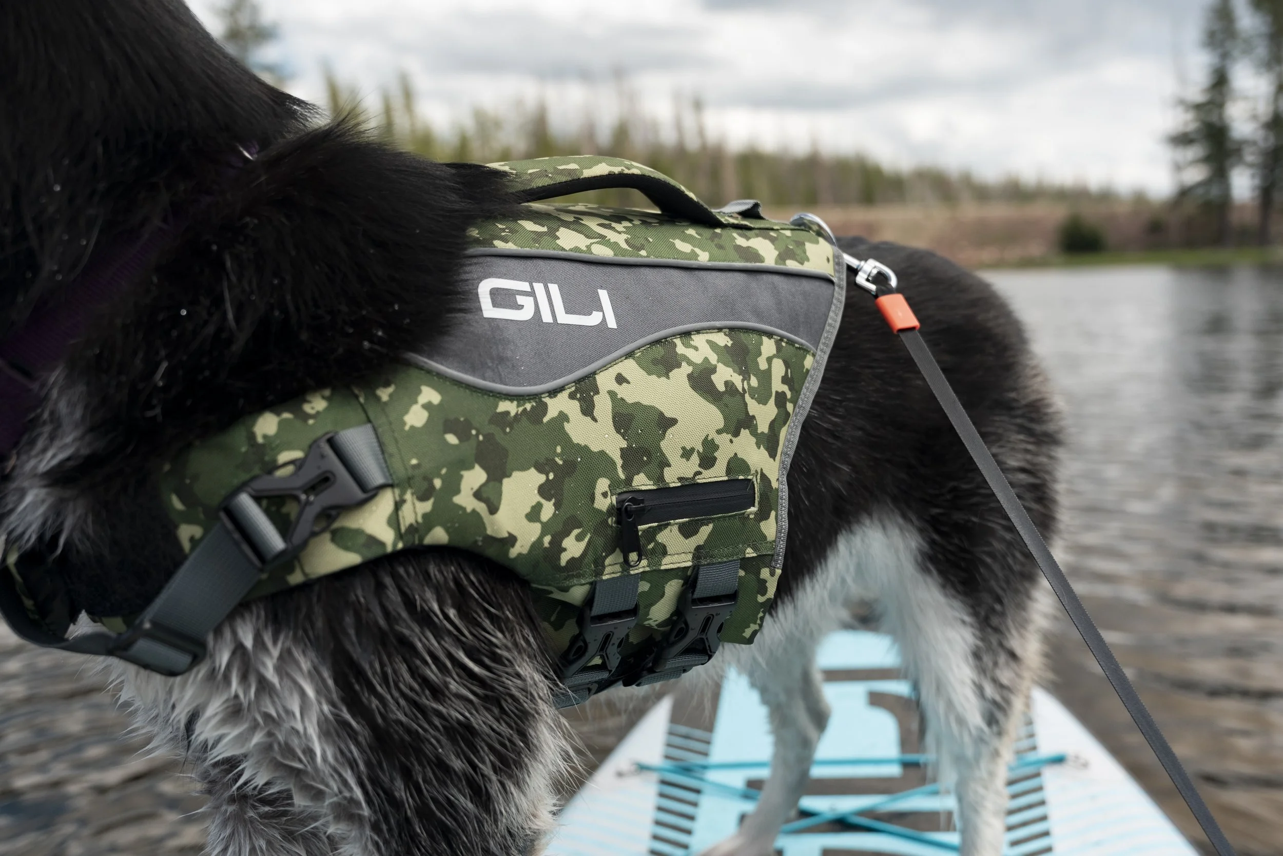 GILI DOG VEST +-5.jpg
