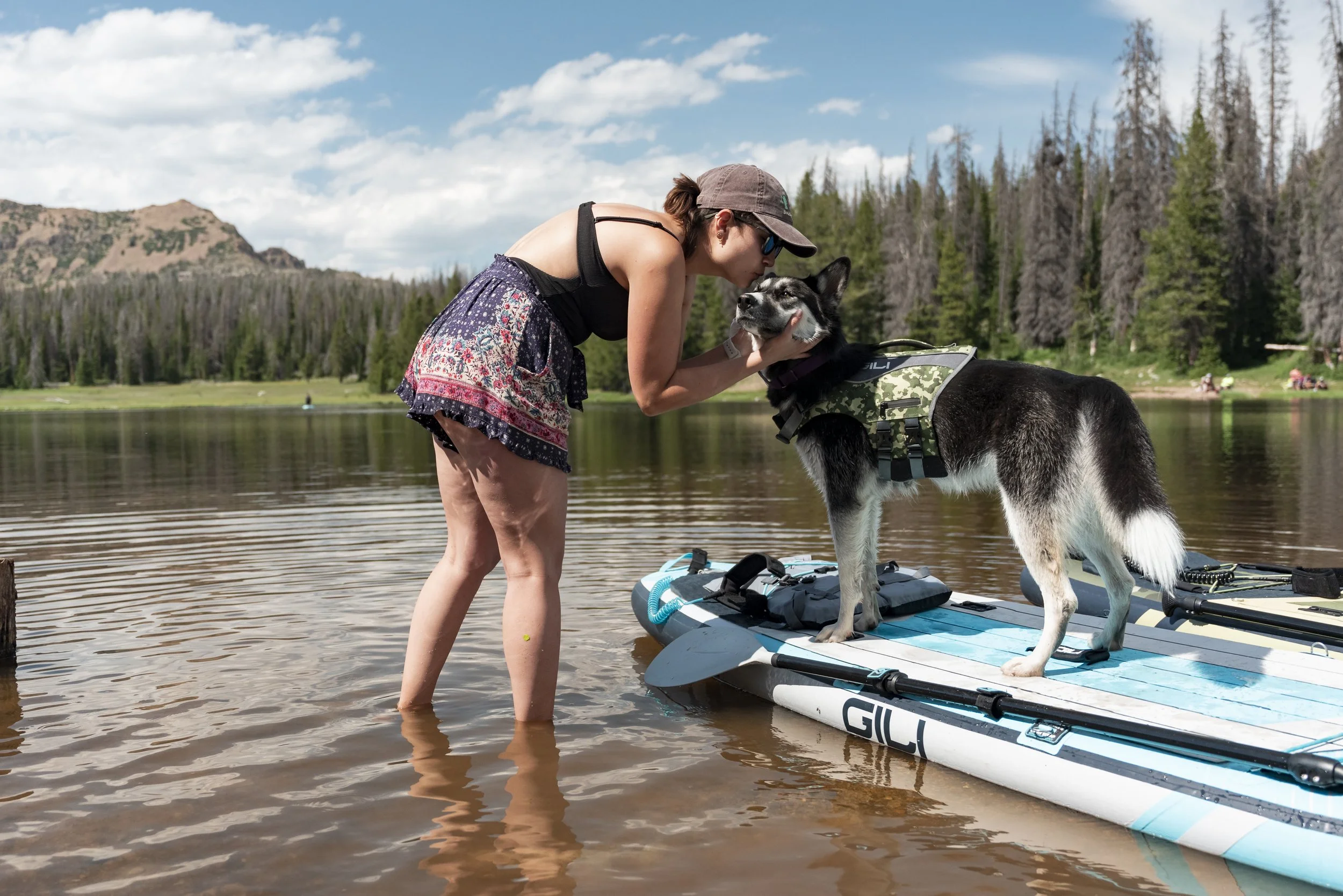 GILI DOG VEST +-13.jpg