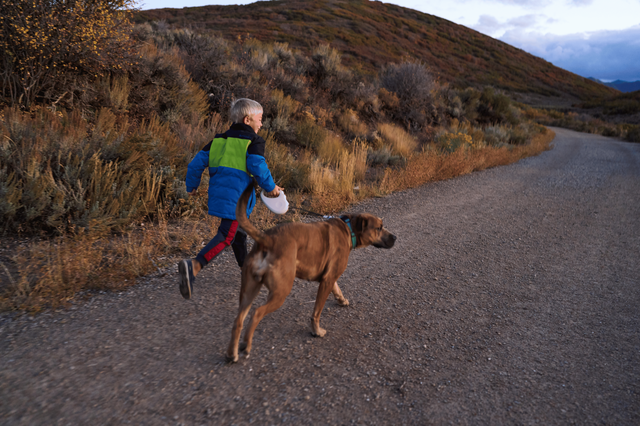 A young boy walking on a gravel road outdoors with a large brown dog, surrounded by shrubbery and mountain scenery during sunset -Dog Product Video Production