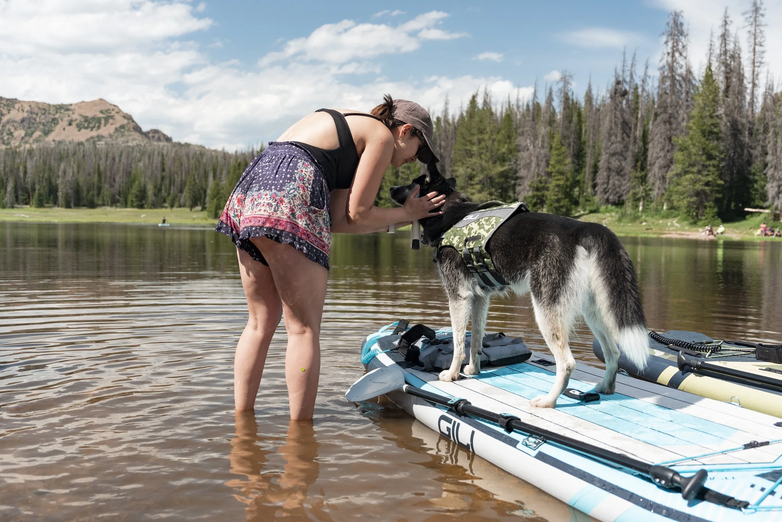 GILI DOG VEST +-12.jpg