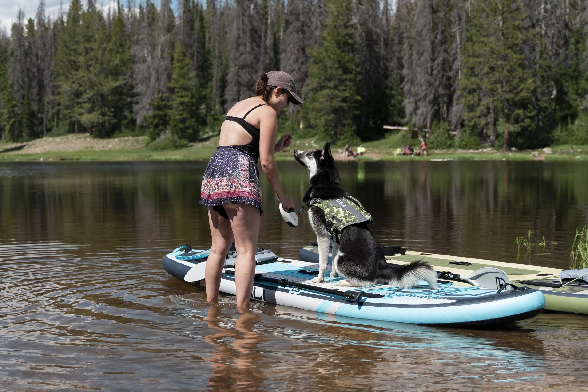 GILI DOG VEST +-11.jpg