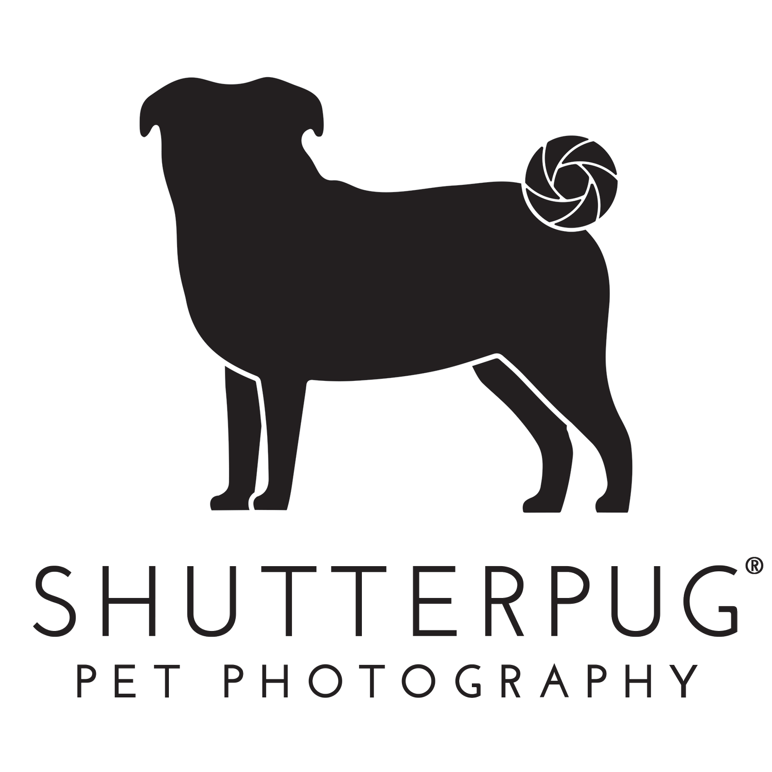Fredericksburg VA Pet &amp; Dog Photography