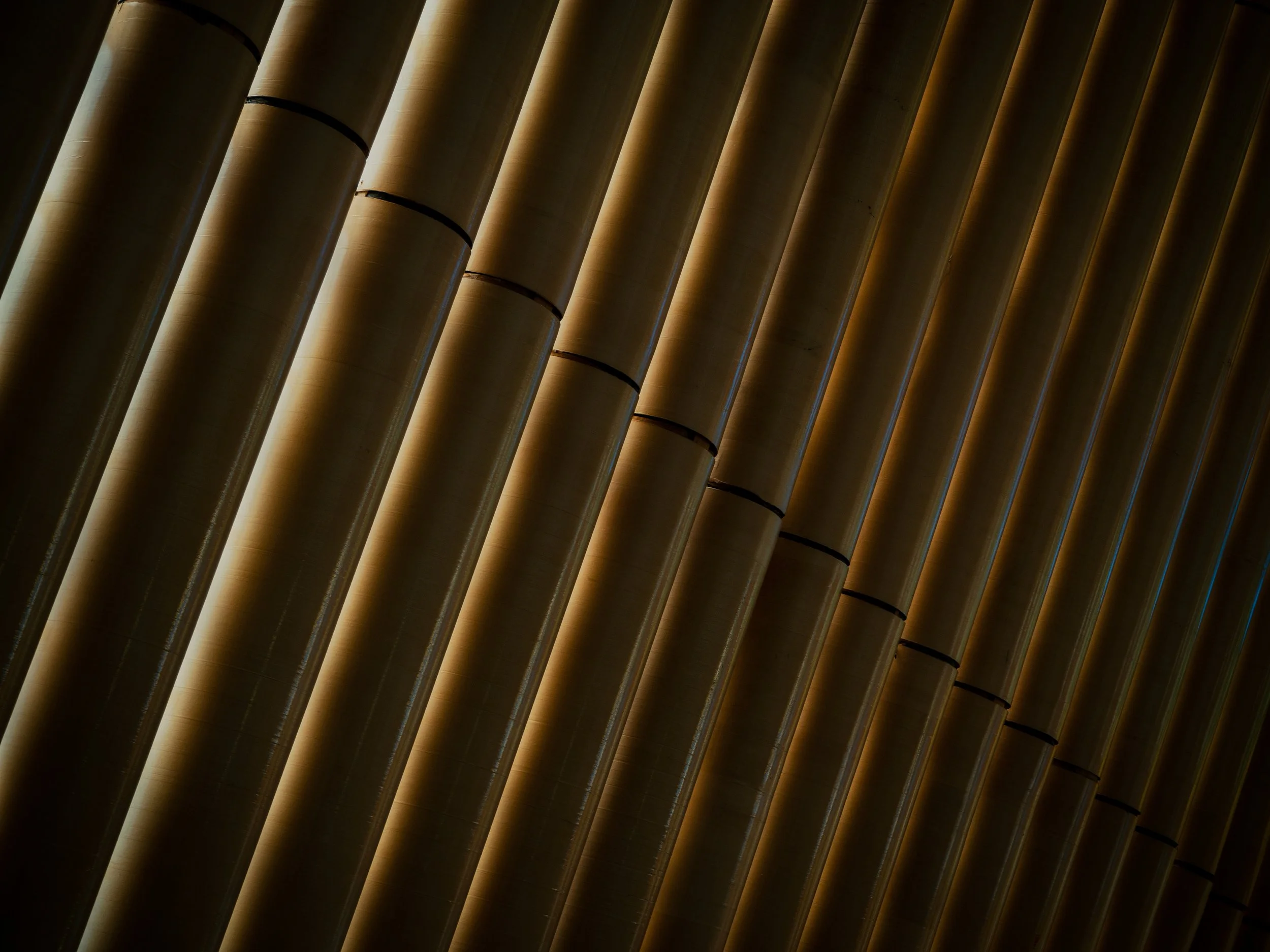 P2211073.jpg
